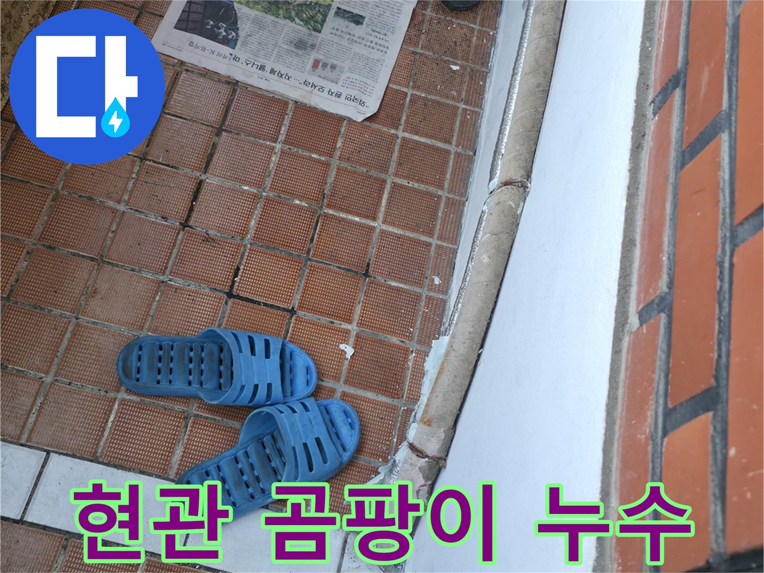 서초구 서초동 누수 - 현관에 곰팡이가 발생한 것은 누수의 신호입니다
