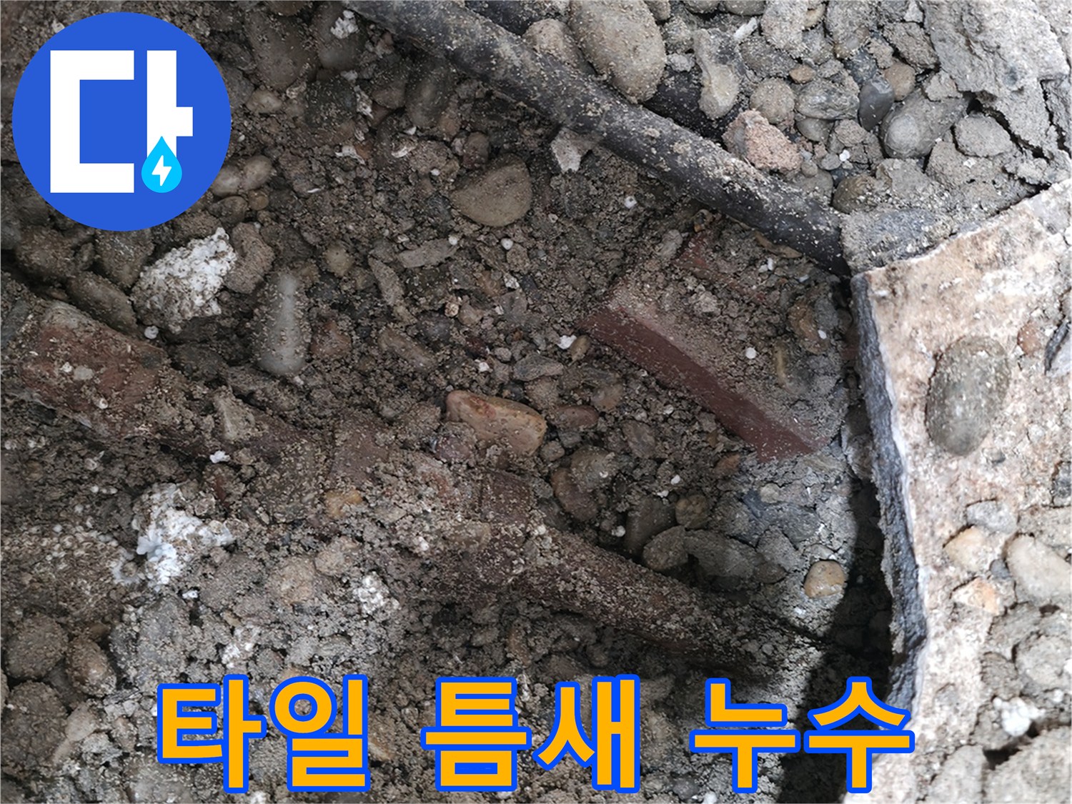 서초구 양재2동 누수 현장 - 바닥 타일 틈새로 물이 새는 모습 - 서초 누수 공사 전문 업체가 꼼꼼하게 시공합니다.