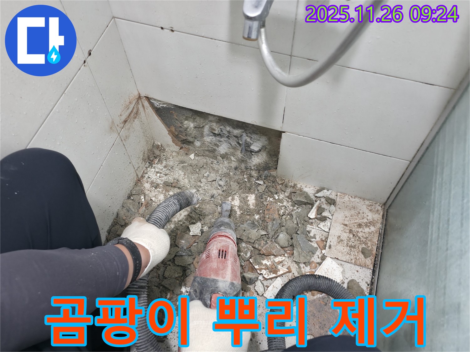 서초동 욕실 누수 - 철거 중 발견된 곰팡이, 뿌리까지 확실하게 제거