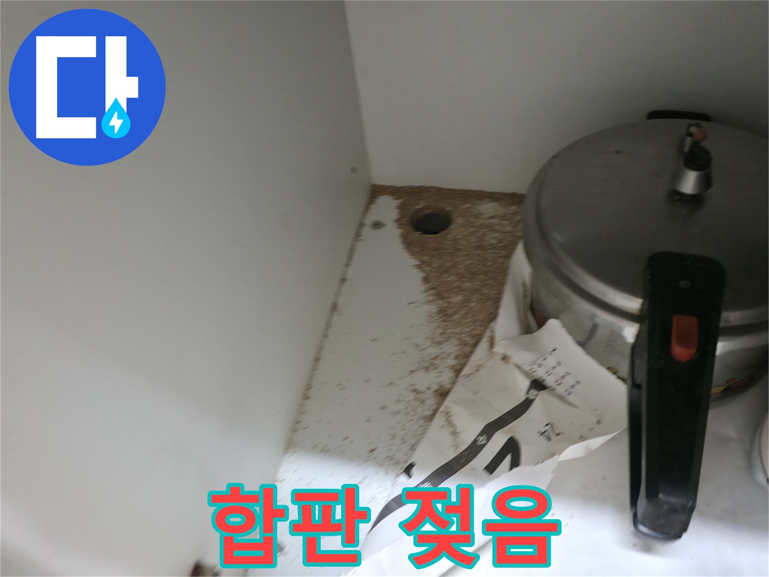싱크대 하부 - 합판 젖음 - 전문가 도움 - 해결