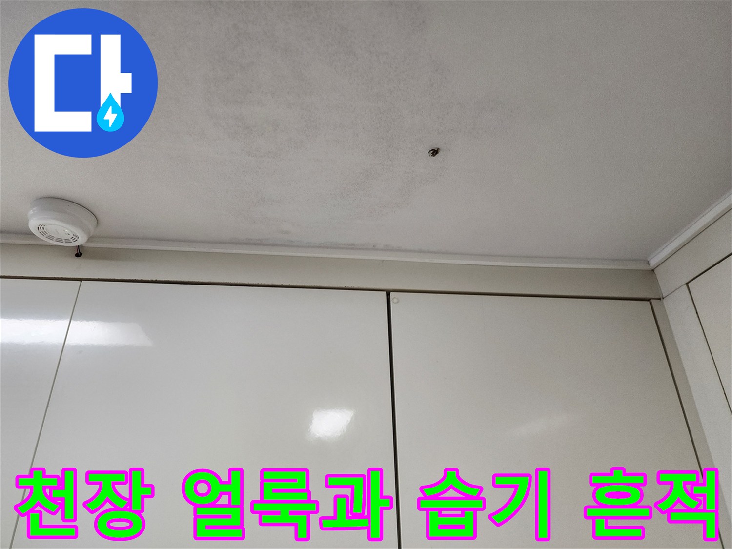 포천 신북면 현장의 천장 물자국 및 변색된 마감재 모습