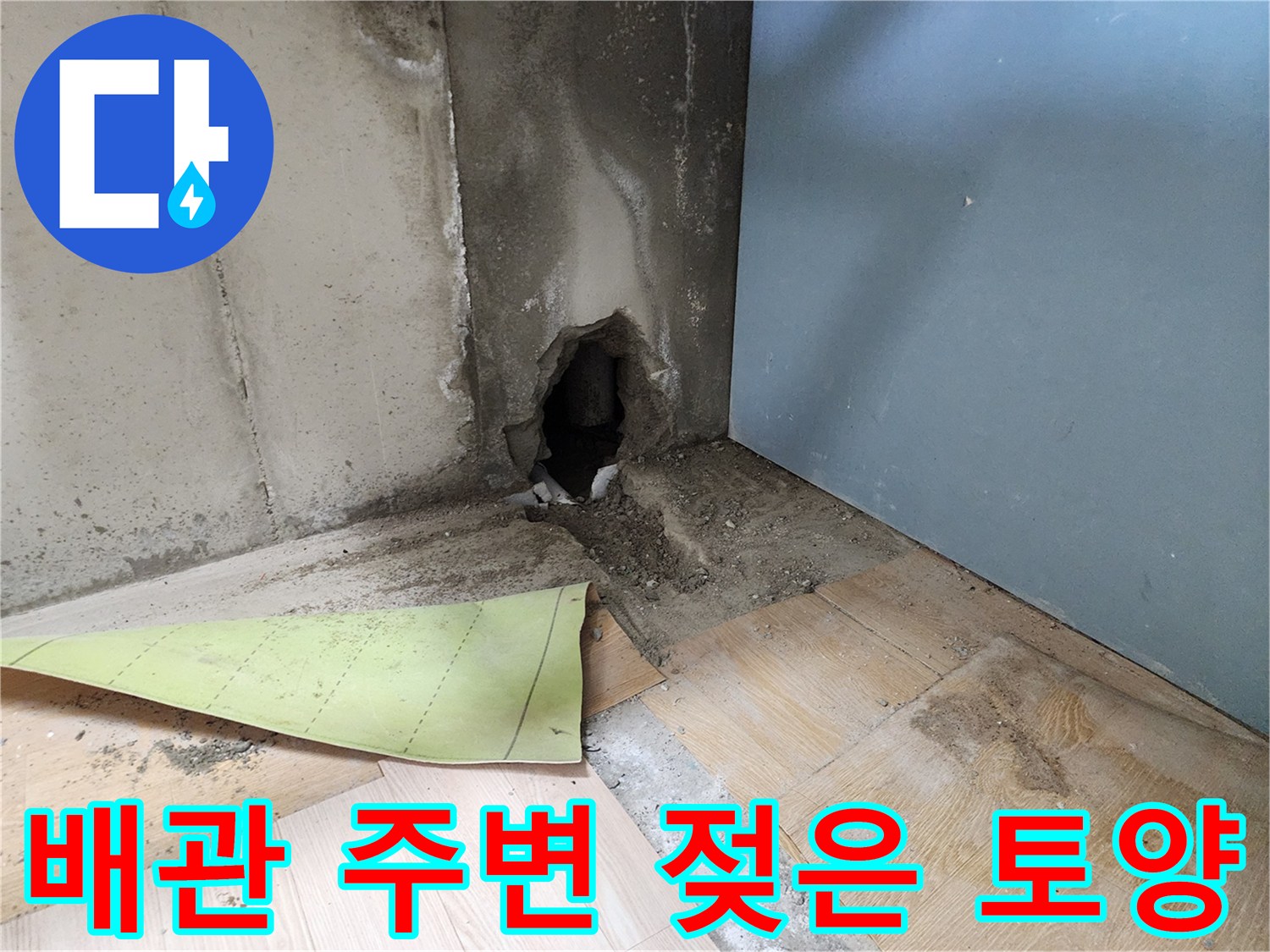 하수관 파손으로 인해-주변 토양이 습기에 젖어 있는 모습