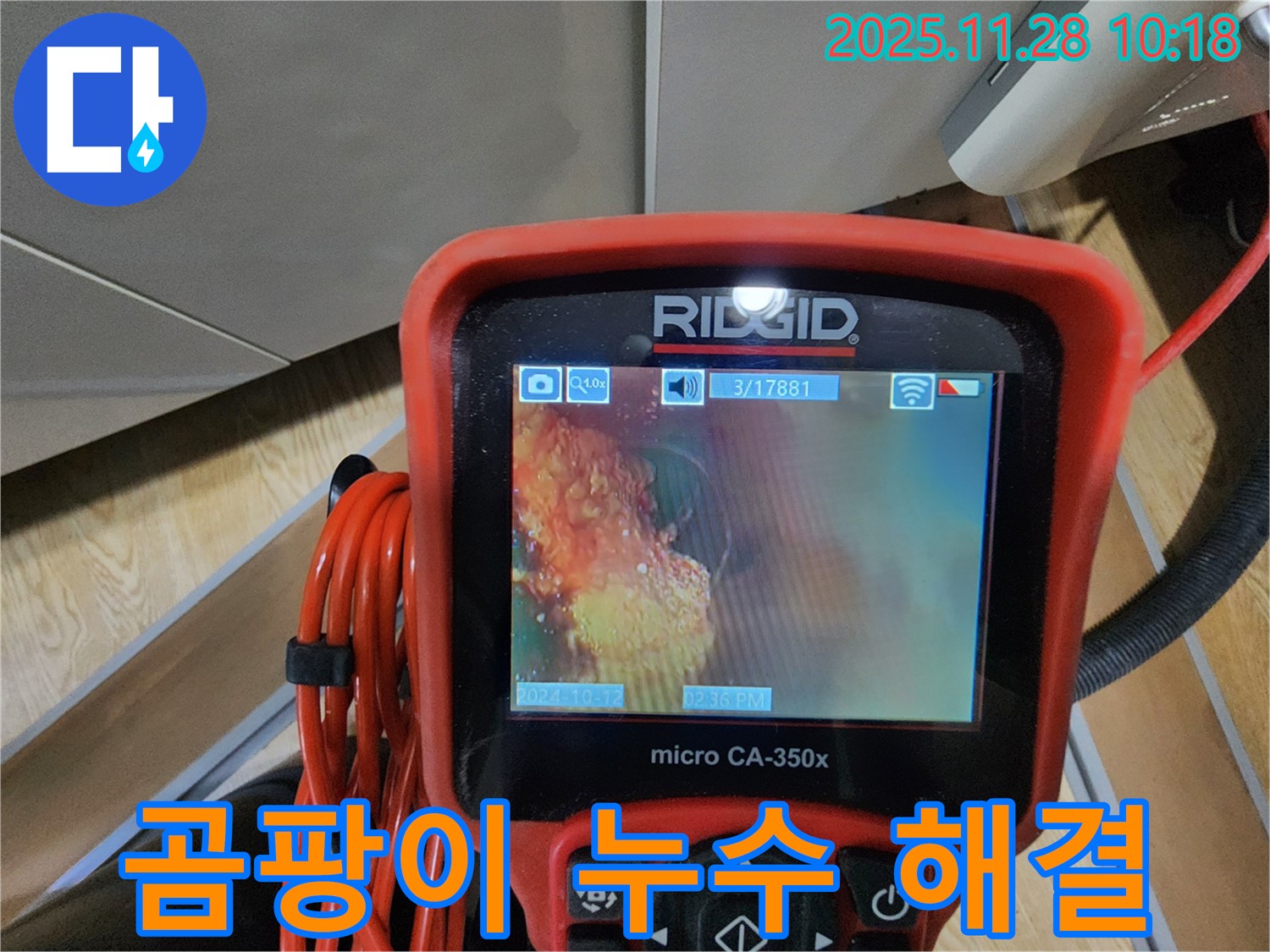 배관 내시경으로 곰팡이 누수 해결 - 완벽하게 해결!