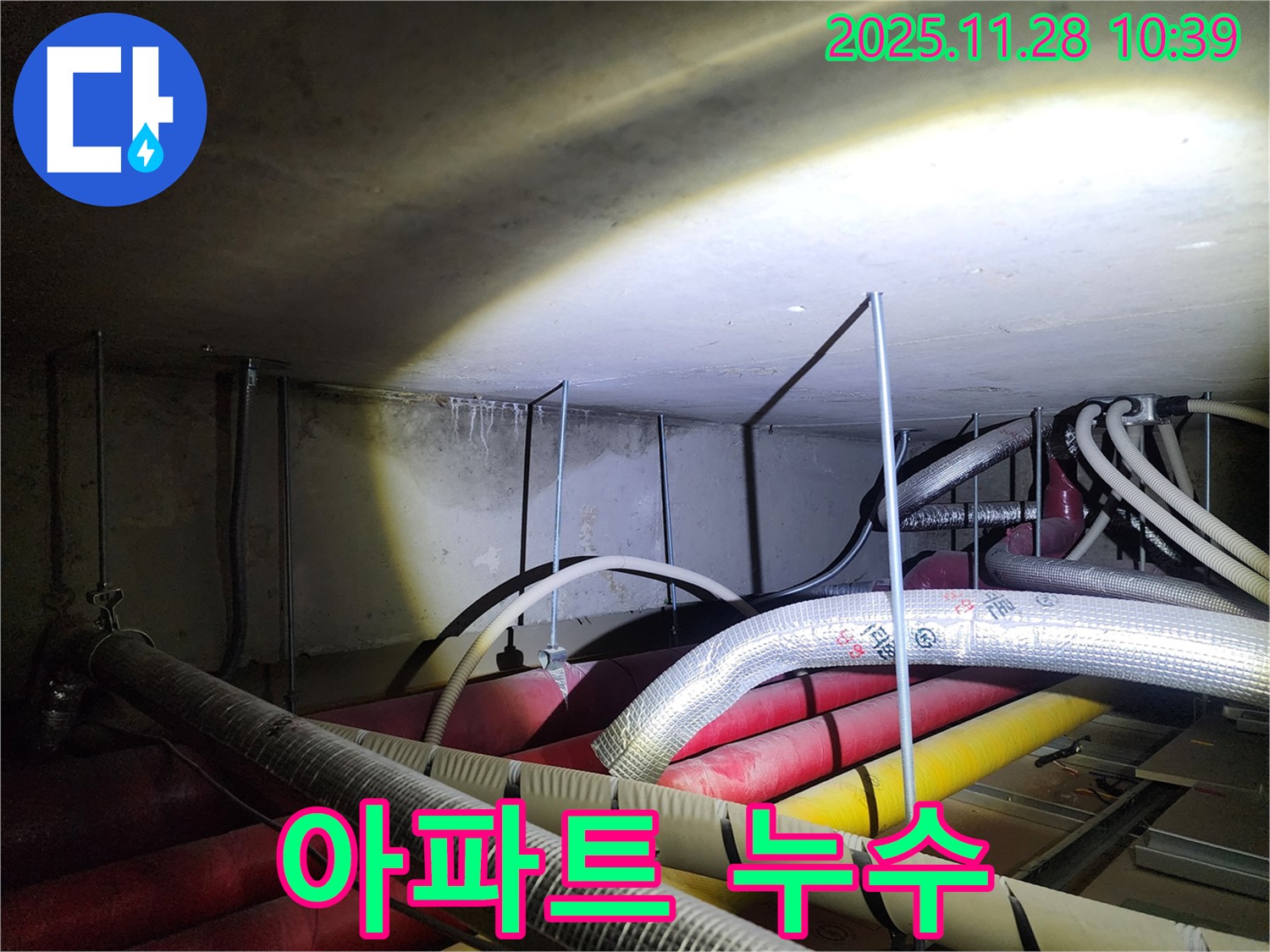 포천 신북면 금동리 누수 현장 - 아파트 누수 문제, 원인 파악부터 완벽한 해결까지 책임집니다.