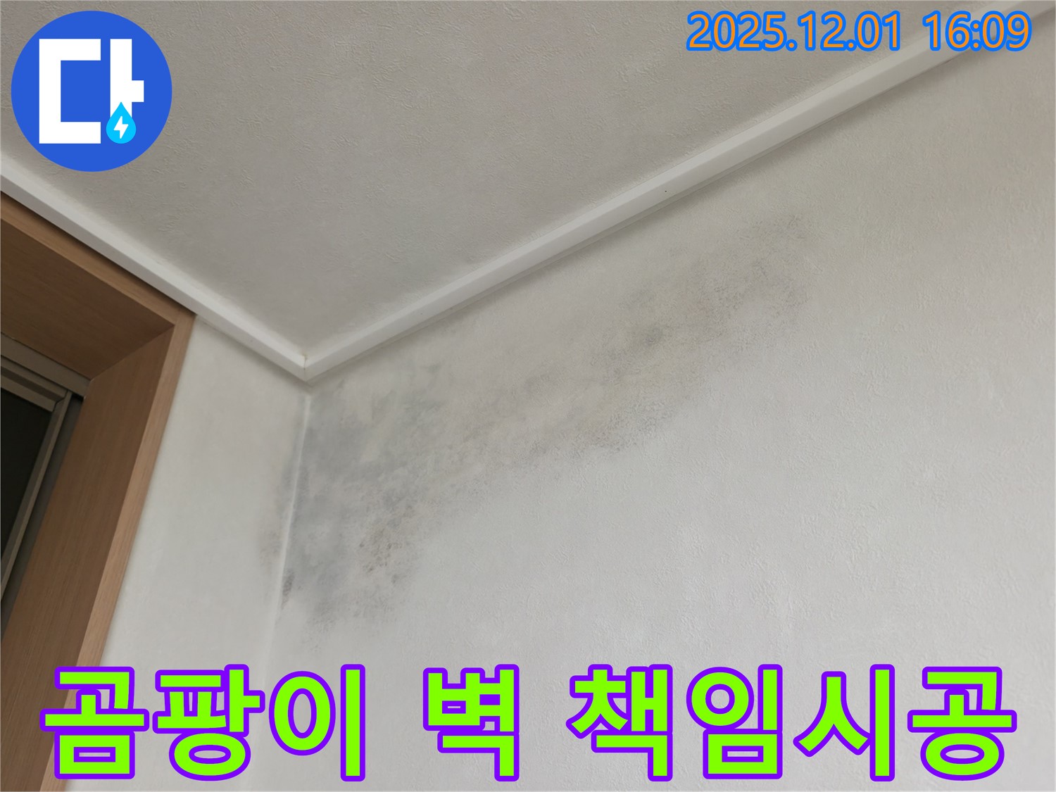 곰팡이 벽 책임 시공 - 용인 기흥 누수 전문