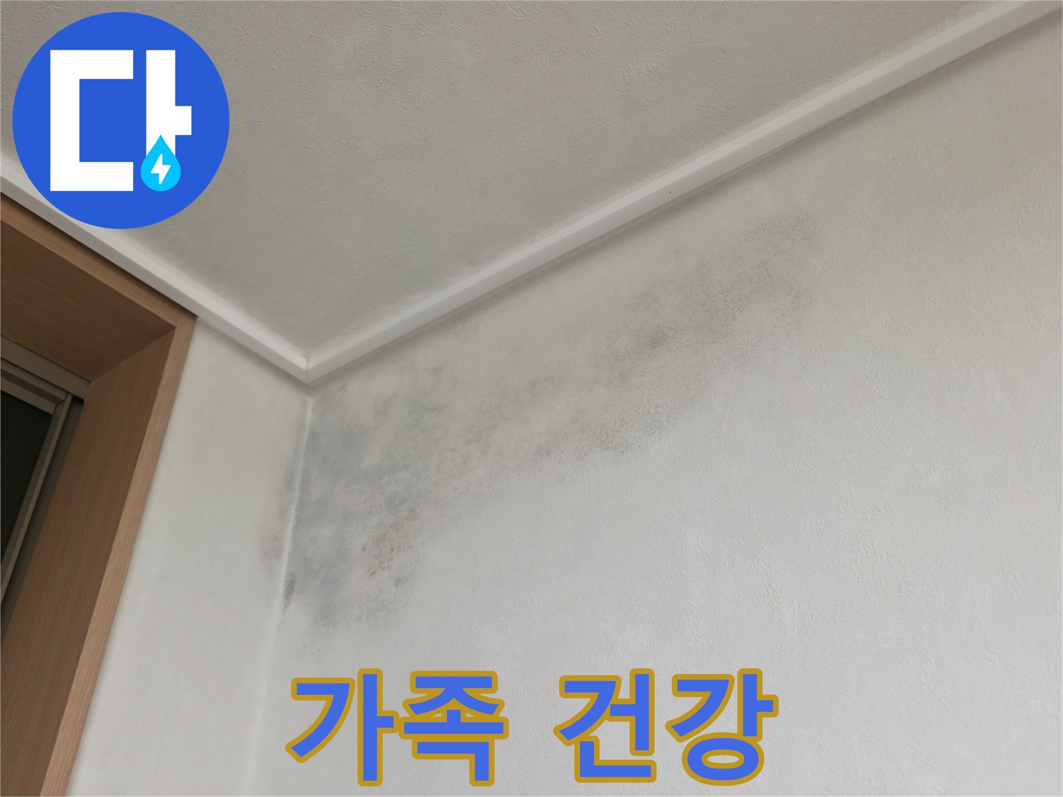 구갈동 아파트 누수 - 곰팡이 제거는 가족 건강을 지키는 첫걸음입니다.