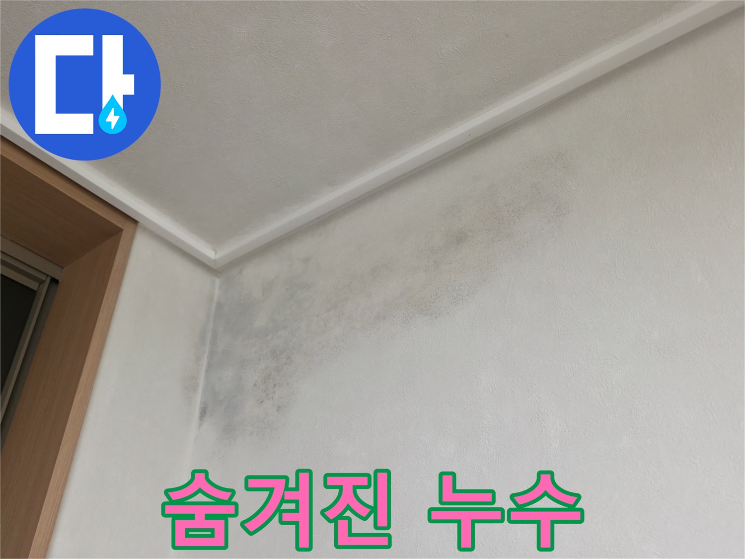 용인 기흥구 누수탐지 - 곰팡이는 숨겨진 누수의 신호일 수 있습니다.
