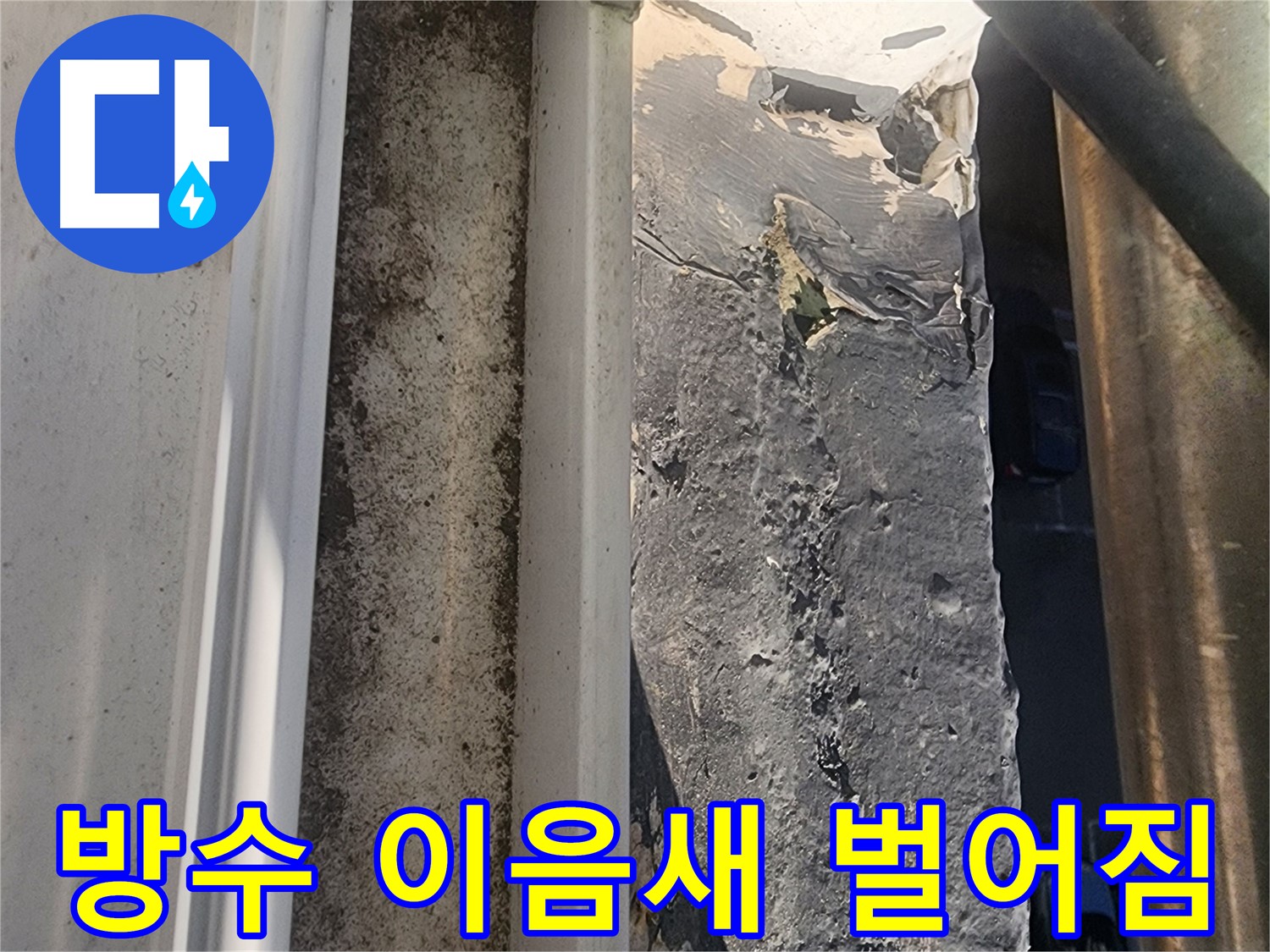 상대원동 누수 - 선경상대원2차아파트 옥상 방수 이음새 벌어짐 사진