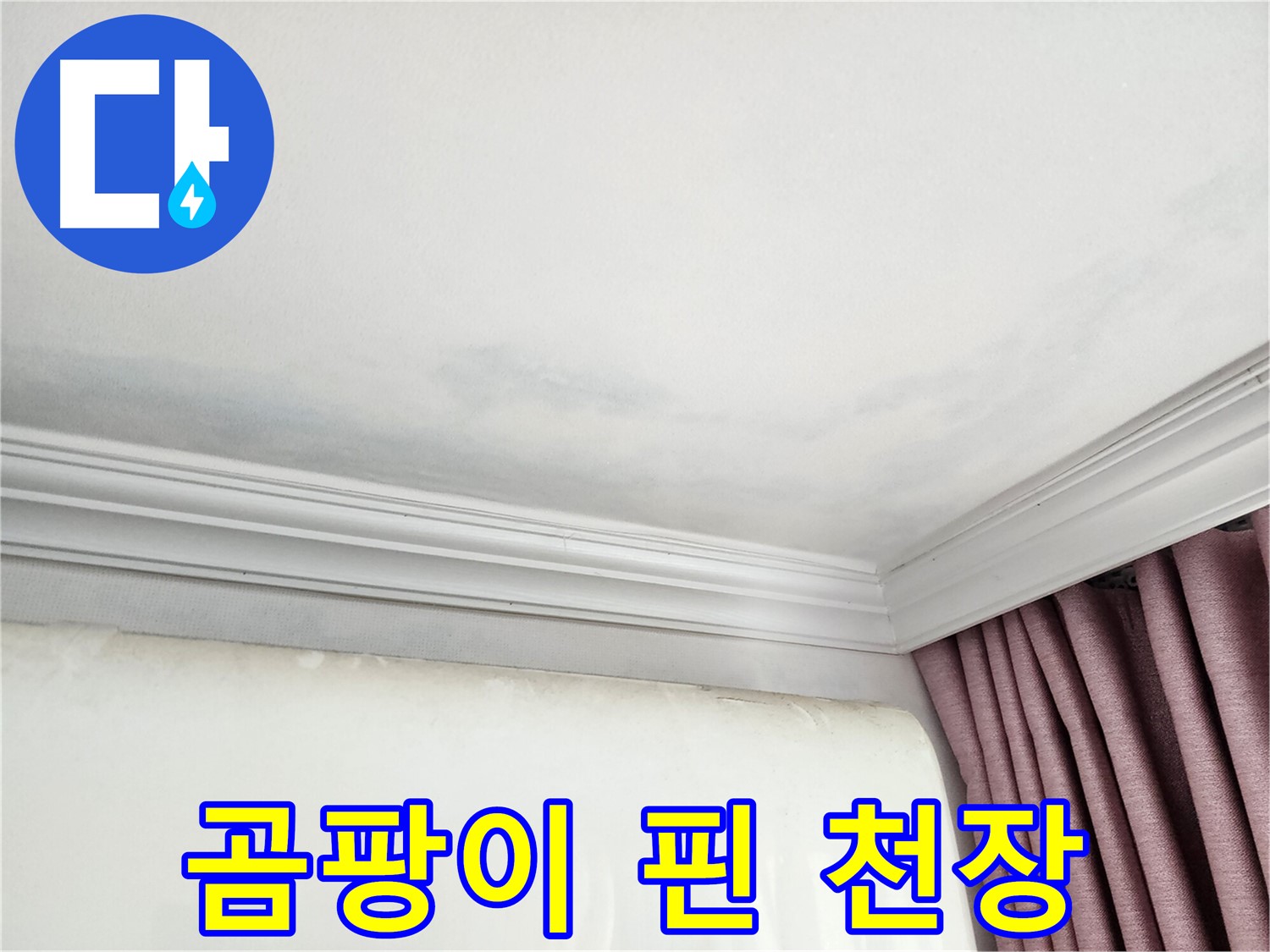 상대원동 아파트 천장 곰팡이 - 긴급 누수 점검 및 원인 파악