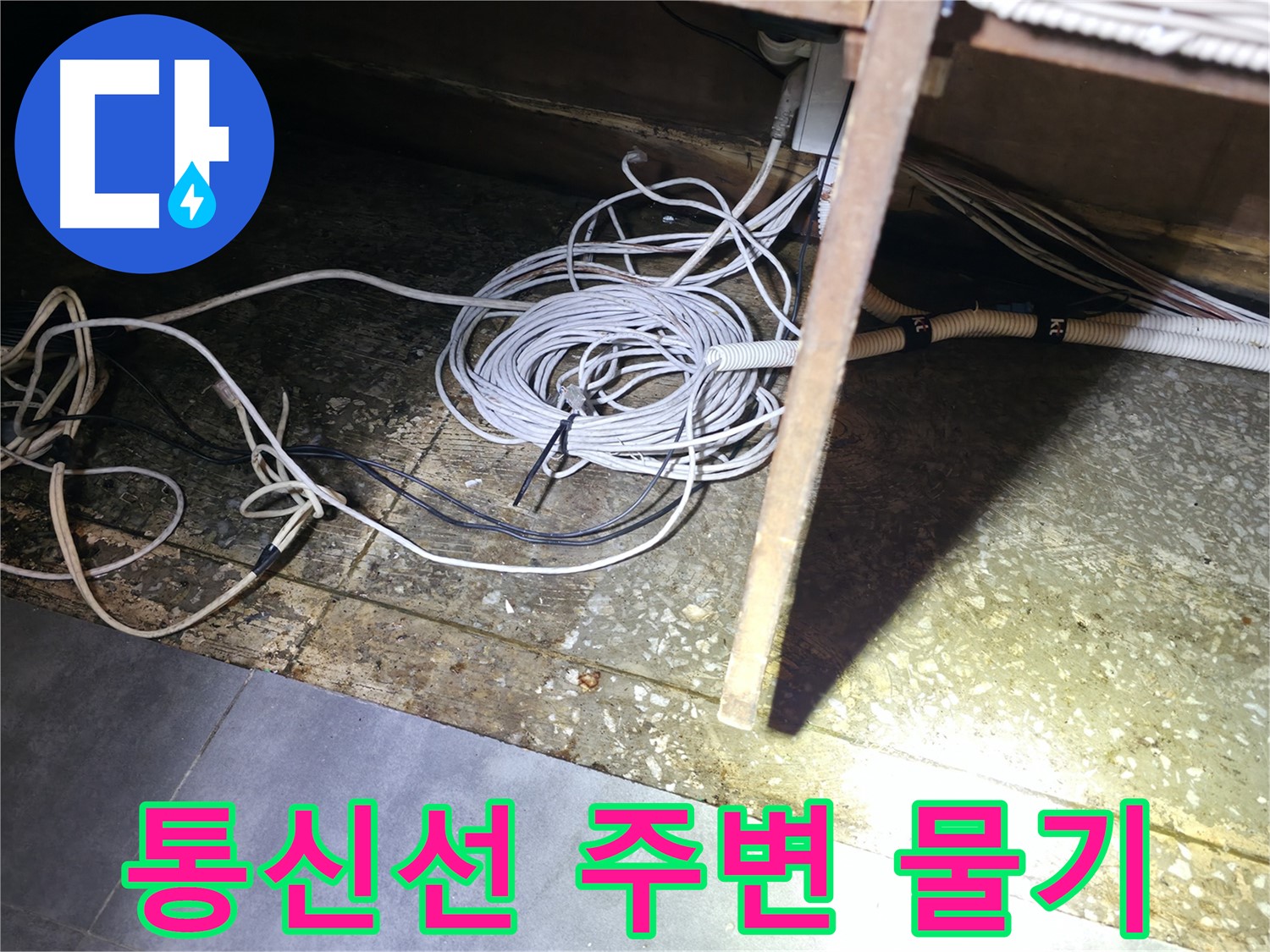 양평 옥천면 고읍리 통신선 주변 물기 - 누수 초기 증상 의심