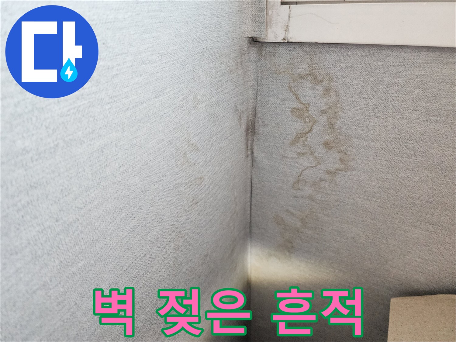 장안구 누수탐지, 수원 삼성아파트 벽면 젖은 흔적 - 신속하고 정확한 누수 진단으로 문제 해결!