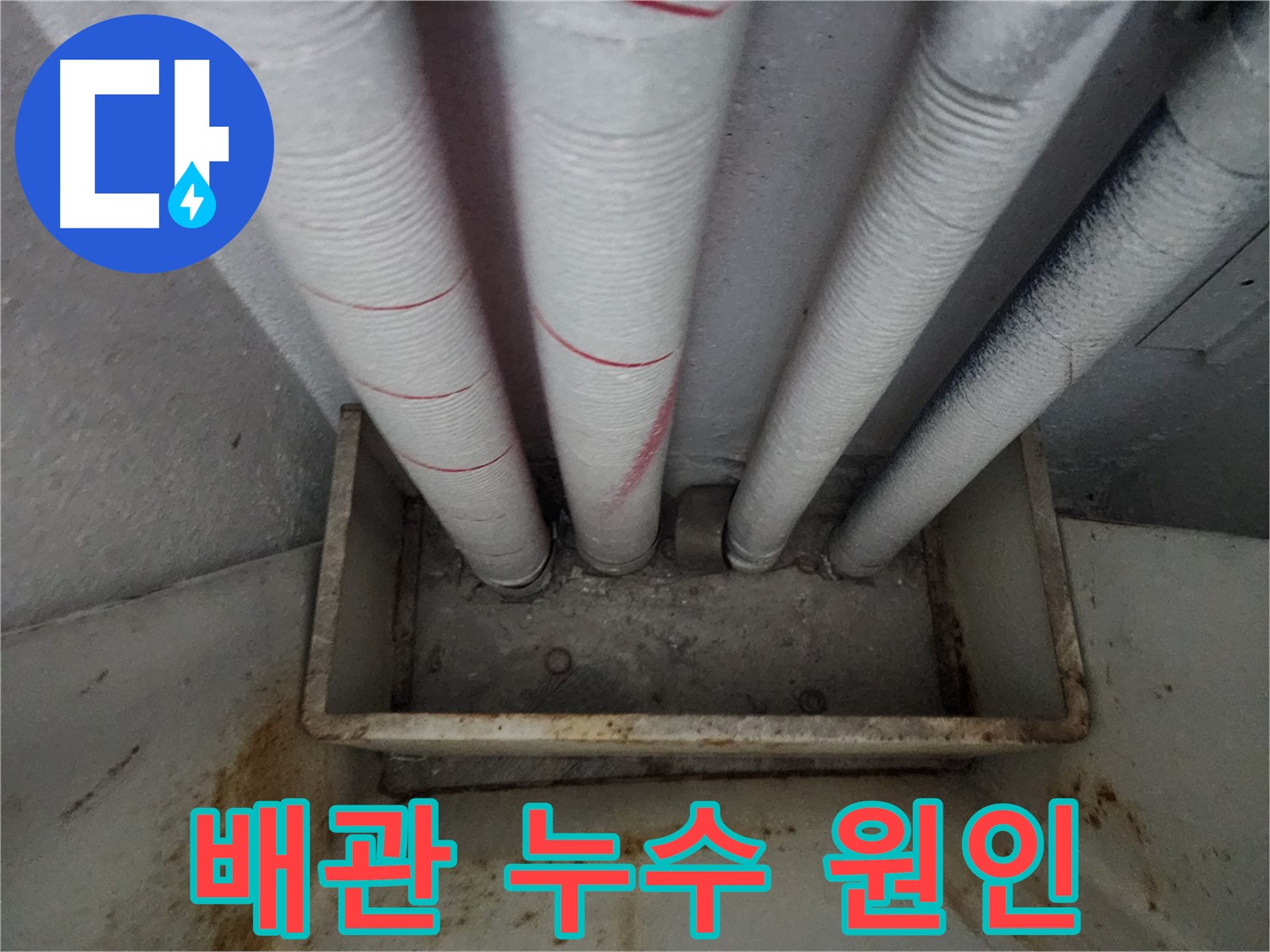 아파트 천장 배관 연결 부위 집중 점검 - 누수 가능성 확인