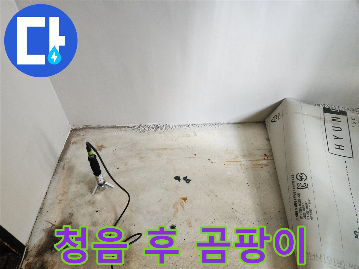 광진구 누수탐지 - 청음 탐지 후 벽면 곰팡이 발견 - 누수와 곰팡이의 연관성을 보여줍니다.