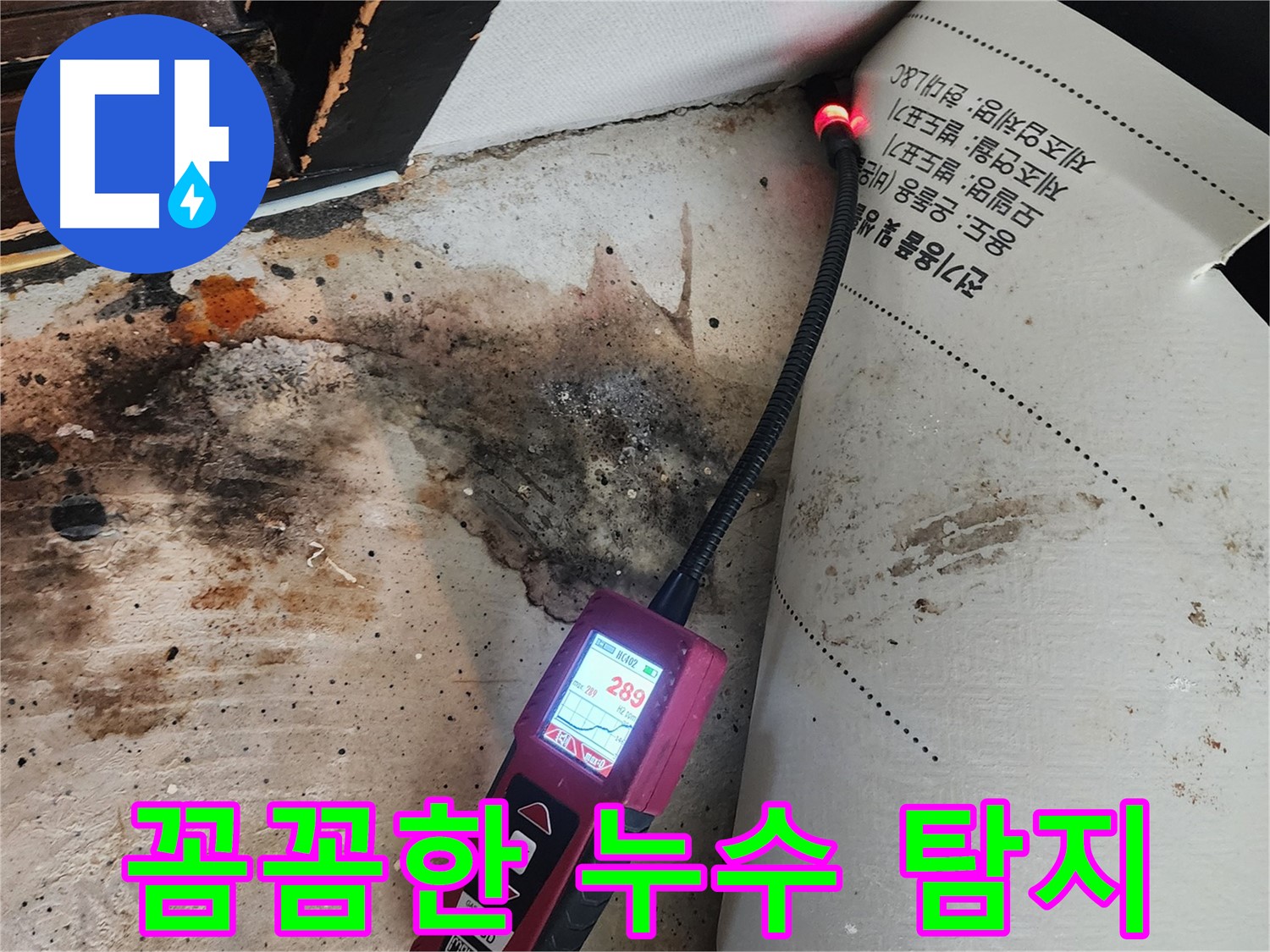 광진구 자양3동 누수 - 곰팡이 핀 벽, 내시경으로 꼼꼼하게 누수 탐지