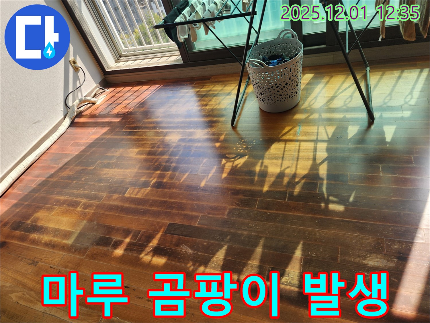 포천시 이동면 도평리 주택 마루에 발생한 곰팡이 - 누수탐지와 함께 곰팡이 제거 솔루션을 제공합니다.