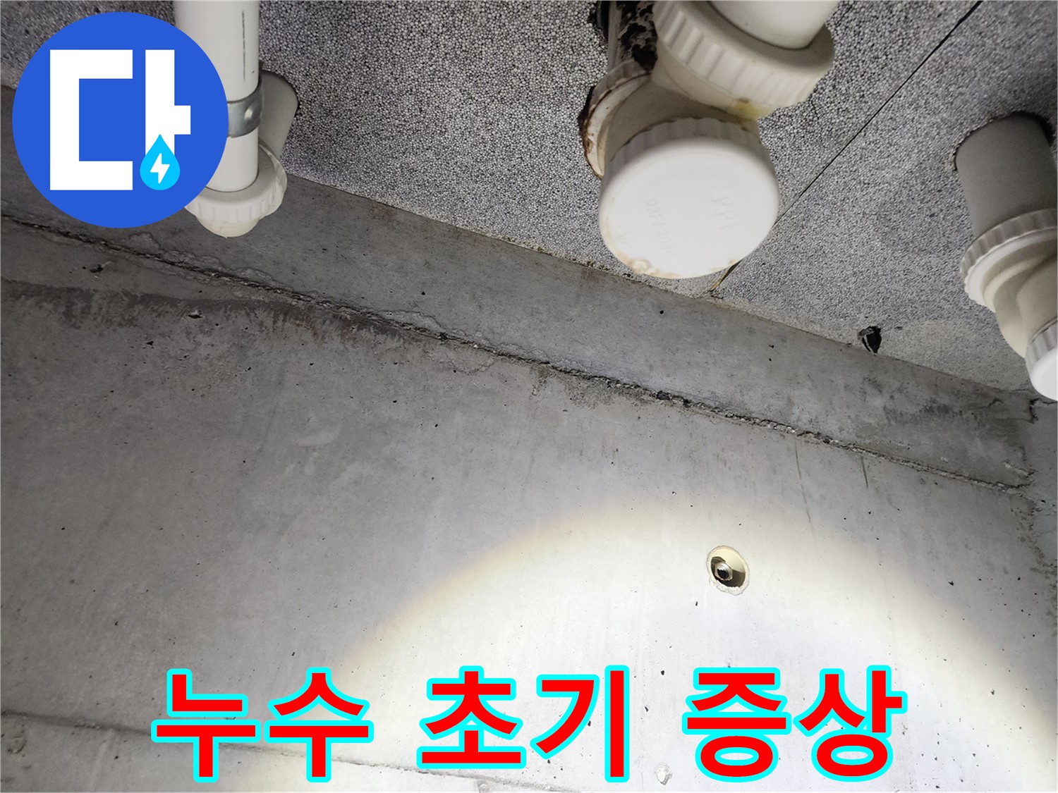 콘크리트 벽의 균열을 꼼꼼히 점검 - 누수 원인을 찾기 위한 중요한 과정입니다.