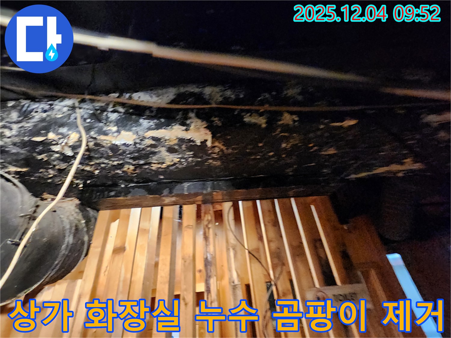 송정동 낡은 상가 화장실 누수 - 곰팡이 완벽 제거! 쾌적한 공간으로 변신 완료