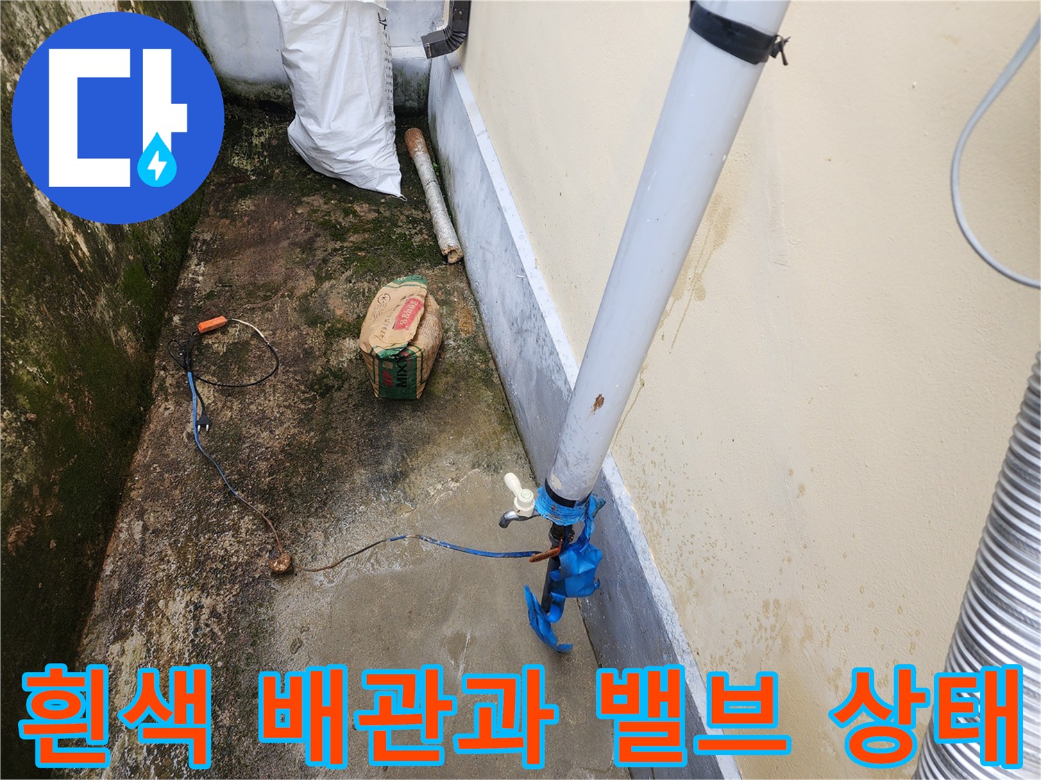 외벽에 고정된 수직 배관과 하단의 파란색 부속을 촬영한 사진입니다.