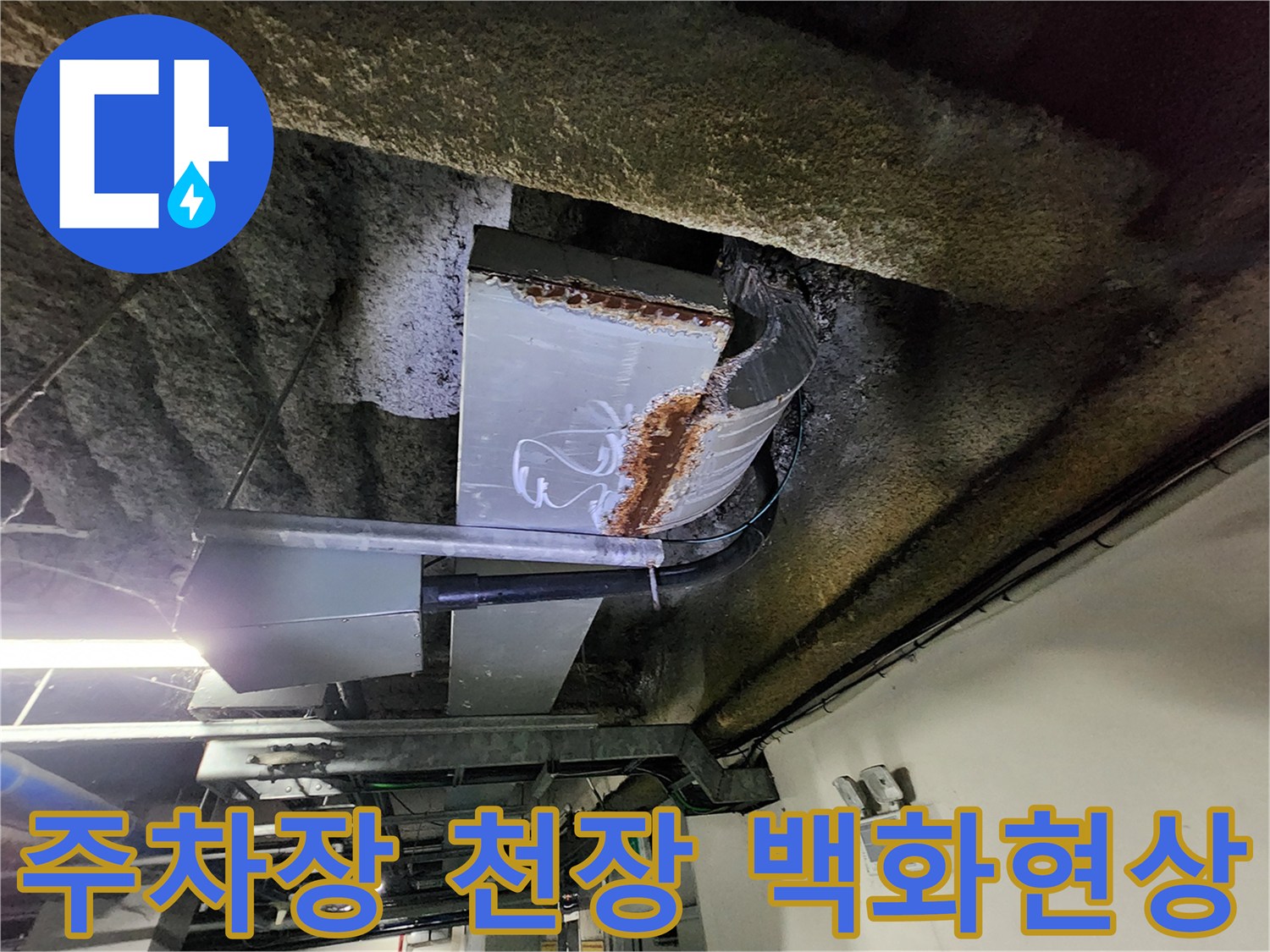 지하 주차장 천장 슬래브-백화 현상이 발생한 모습