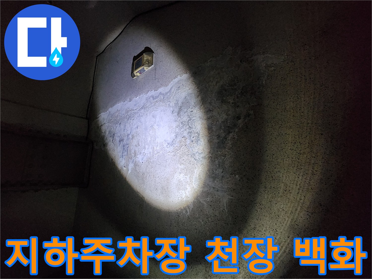 지하 주차장 콘크리트 천장에 나타난 하얀색 백화 현상