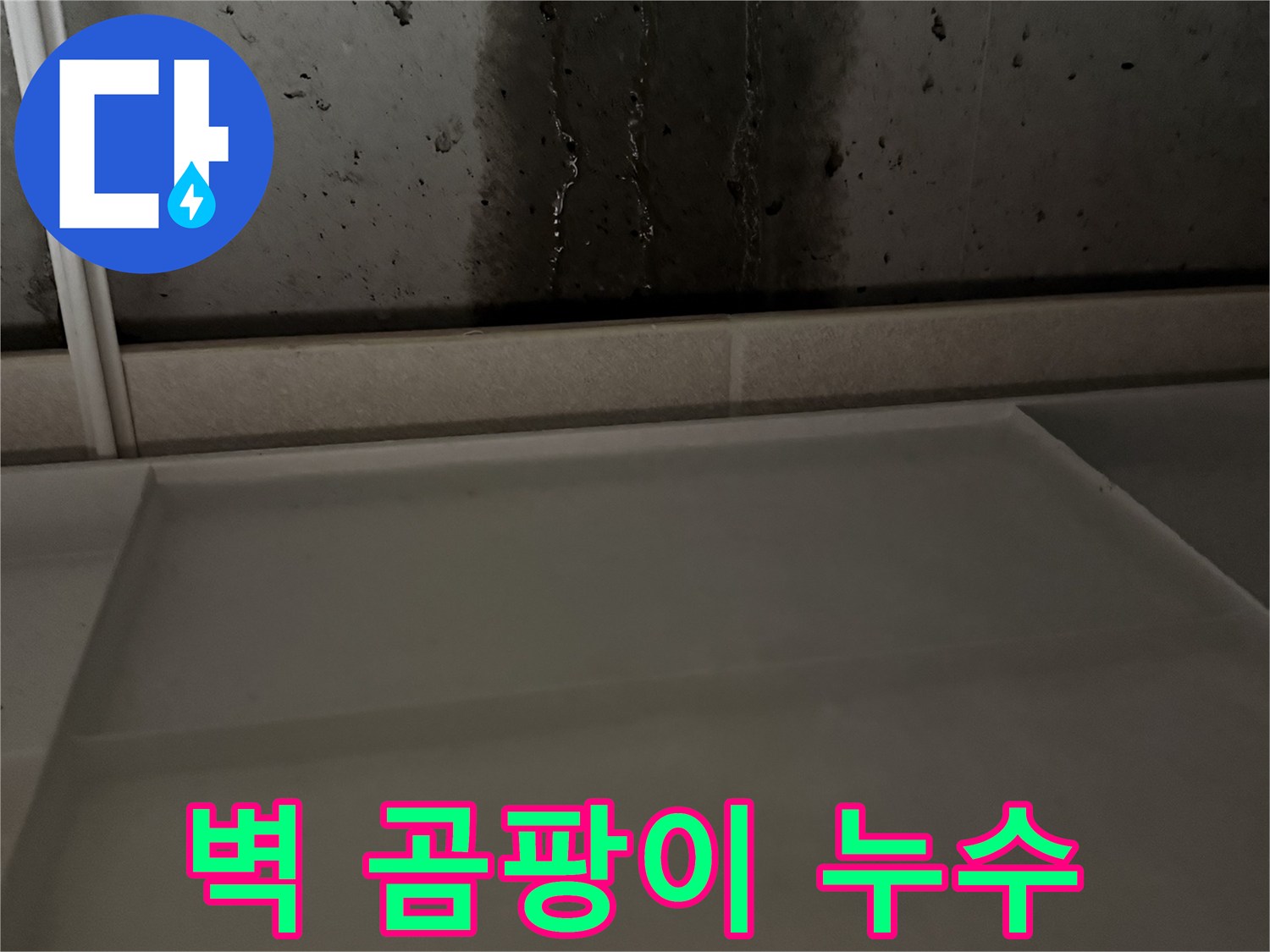 동두천 지행동 동양엔파트 108동 콘크리트 벽 곰팡이 - 누수 해결 후 싹 제거