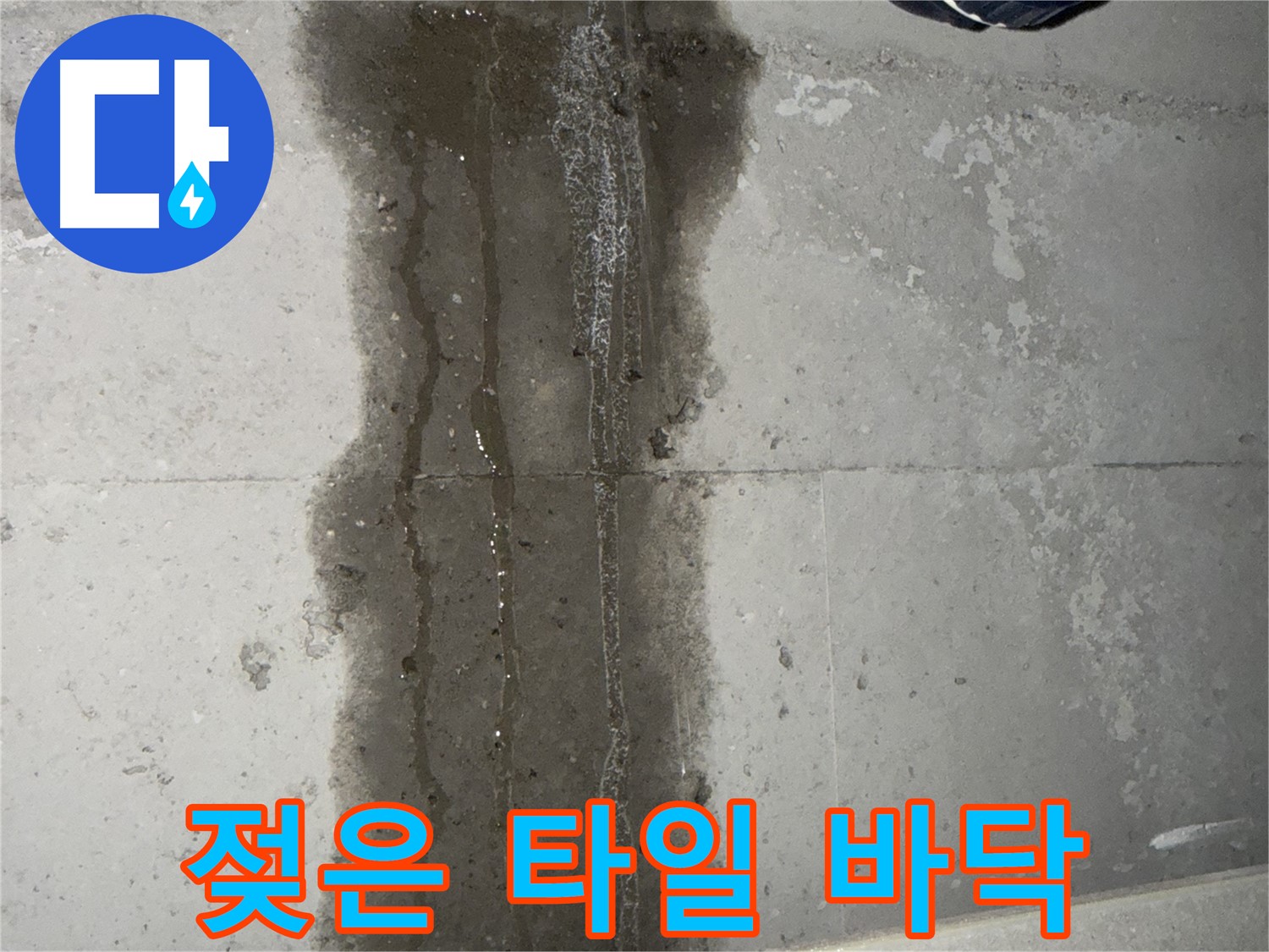 동두천 지행동 아파트 누수 - 젖어있는 타일 바닥