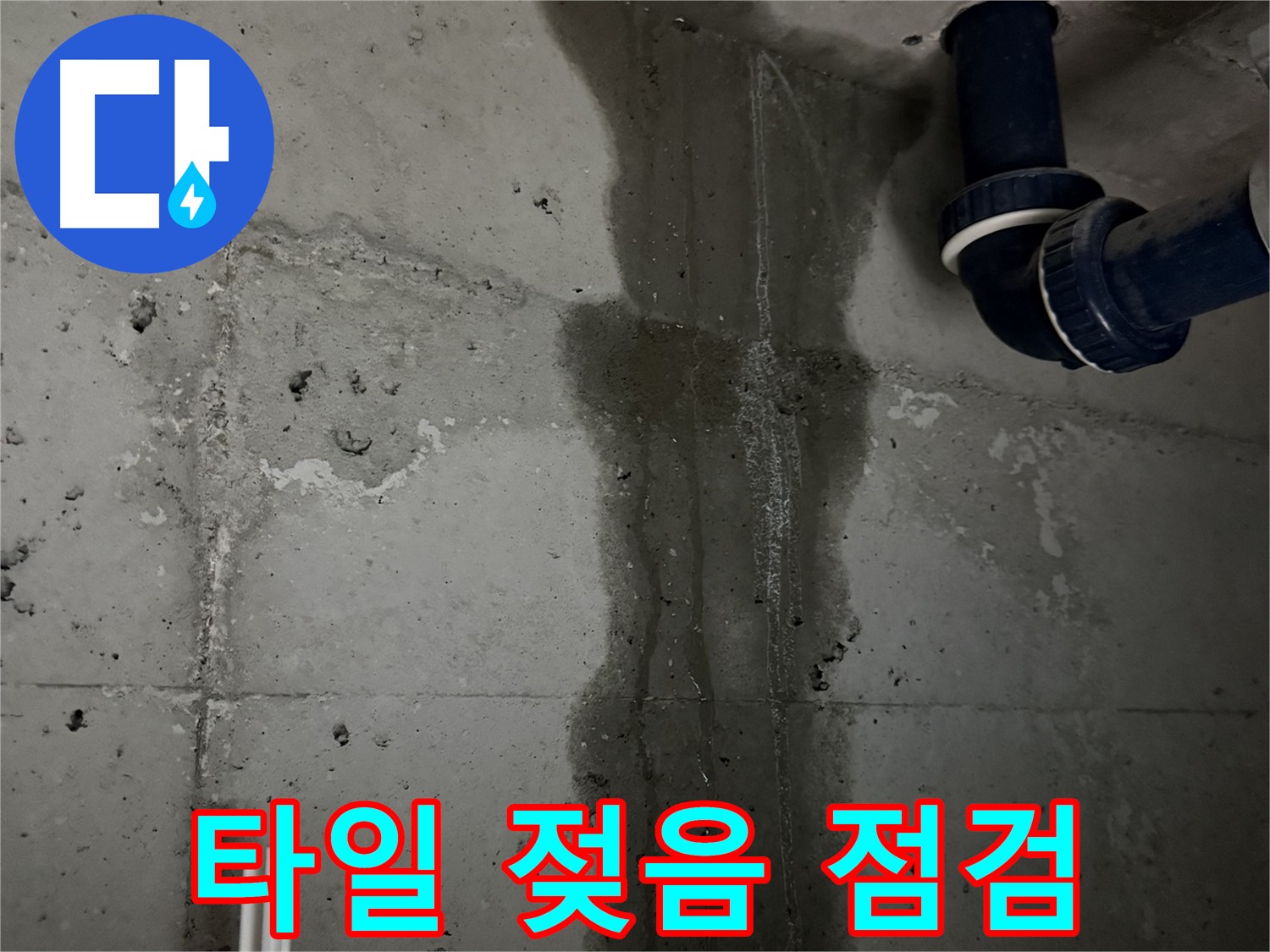 동두천 지행동 아파트 욕실 바닥 타일 젖음 - 빠른 점검으로 누수 확산 방지.