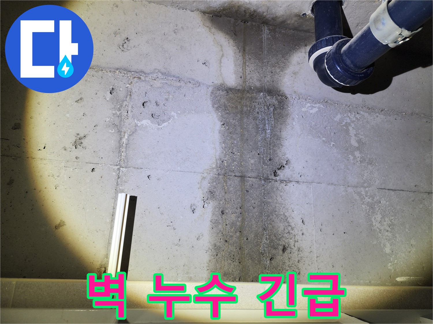 동두천 지행동 아파트 콘크리트 벽 누수 - 긴급 누수 상황 신속 진단