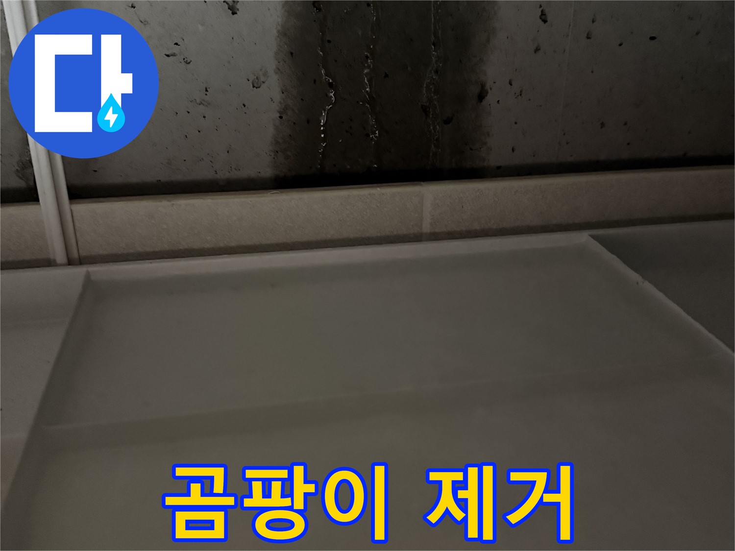 지행동 누수 - 벽면 곰팡이 제거 작업 진행 중