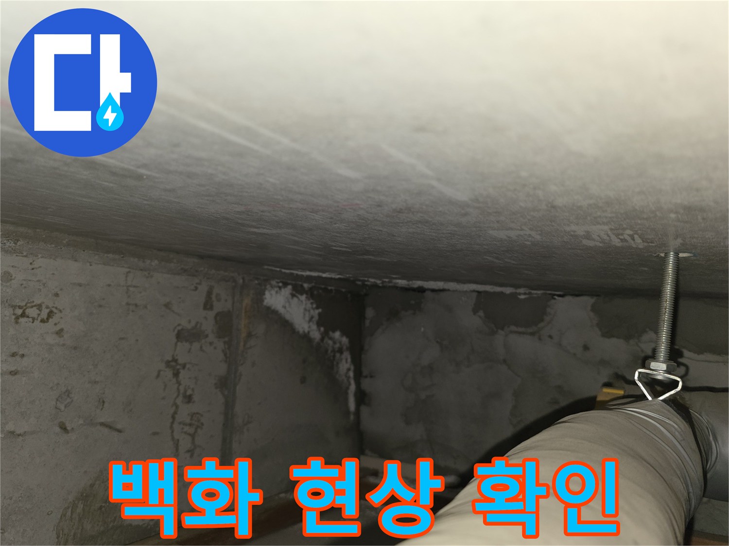 마포구 중동 건영월드컵아파트 누수 - 지하 주차장 천장 백화 현상 상세 촬영