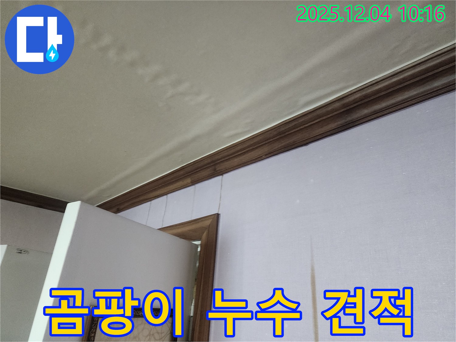 경기도 포천시 일동면 곰팡이 누수 견적 - 합리적인 가격으로 최고의 서비스를 제공합니다.