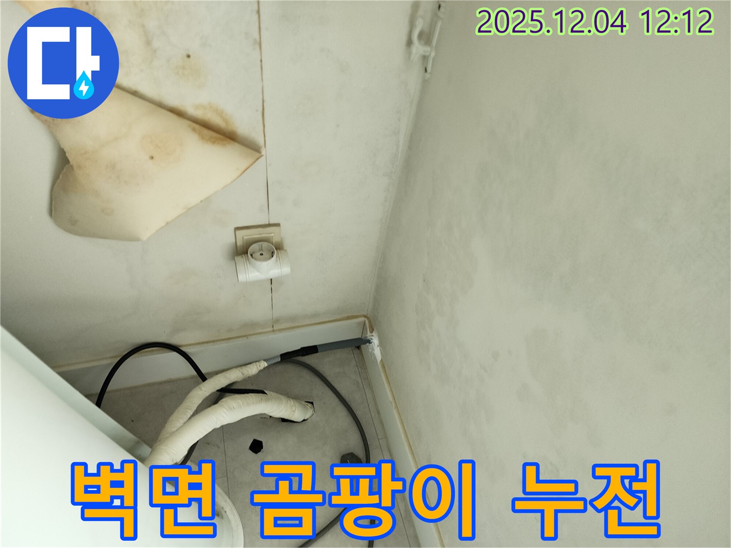 경기도 포천시 일동면 기산리 주택 누수 - 곰팡이 핀 벽면과 콘센트 주변의 누전 위험을 보여줍니다.