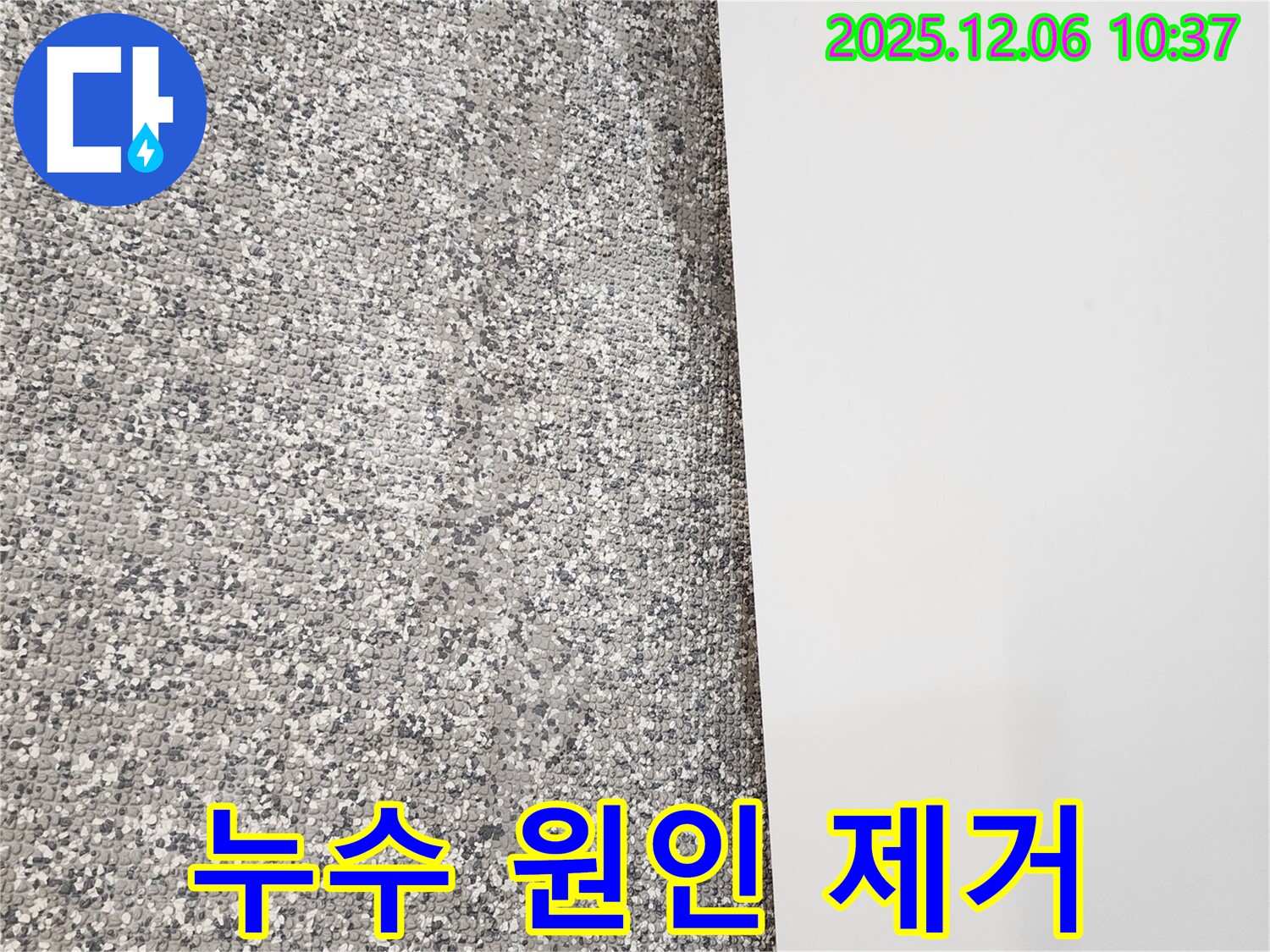 곰팡이 냄새 - 젖은 벽지 속 누수 - 원인 제거