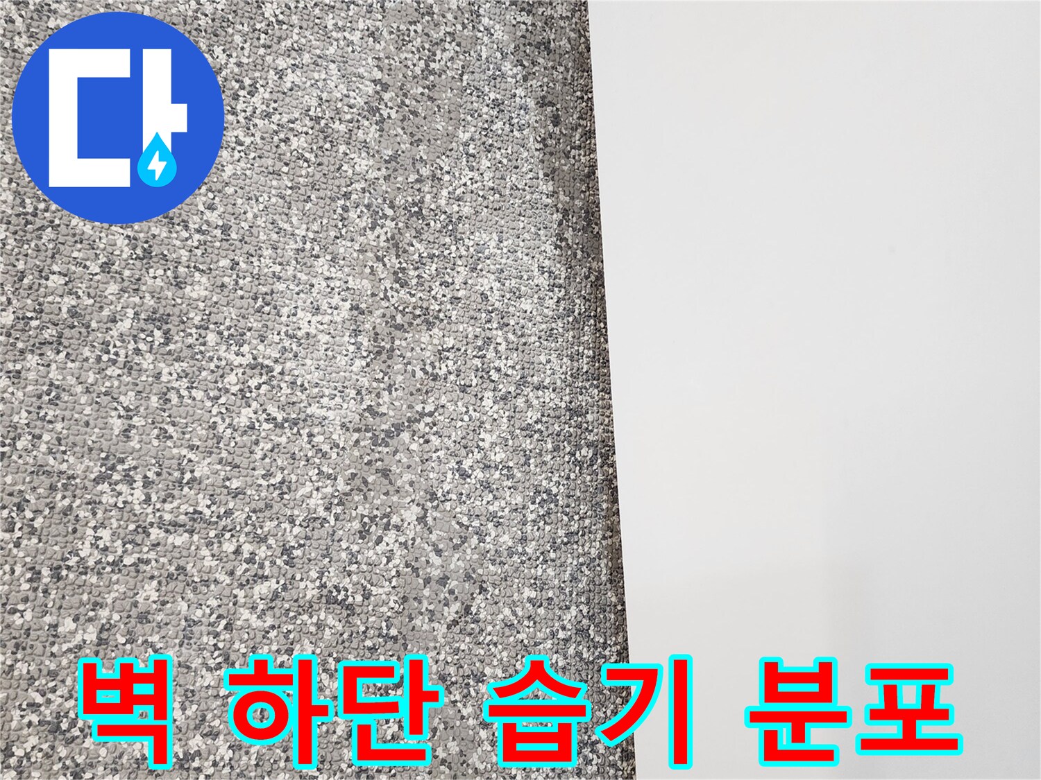 영중면 현장-하얀 벽체와 회색 타일의 젖은 경계선