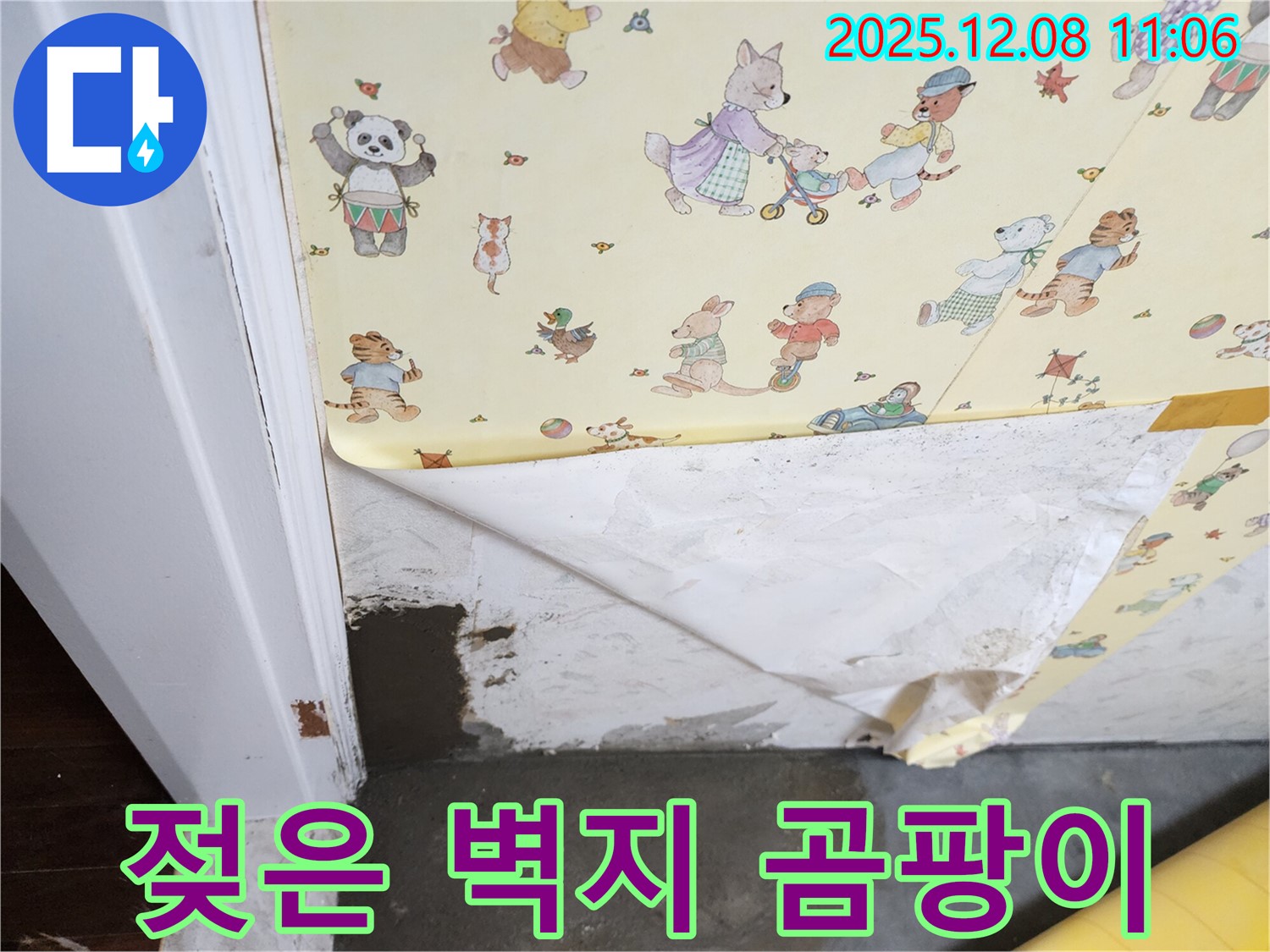 거사리 누수 현장 - 젖은 벽지, 곰팡이 발생, 누수 의심