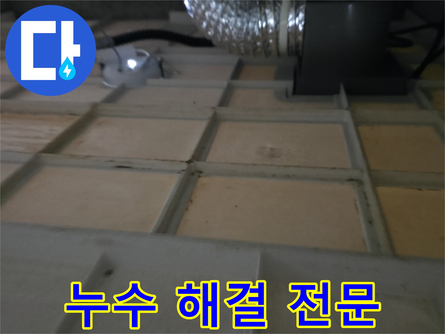 향남 - 첨단 장비로 텍스 속 숨겨진 누수 탐지