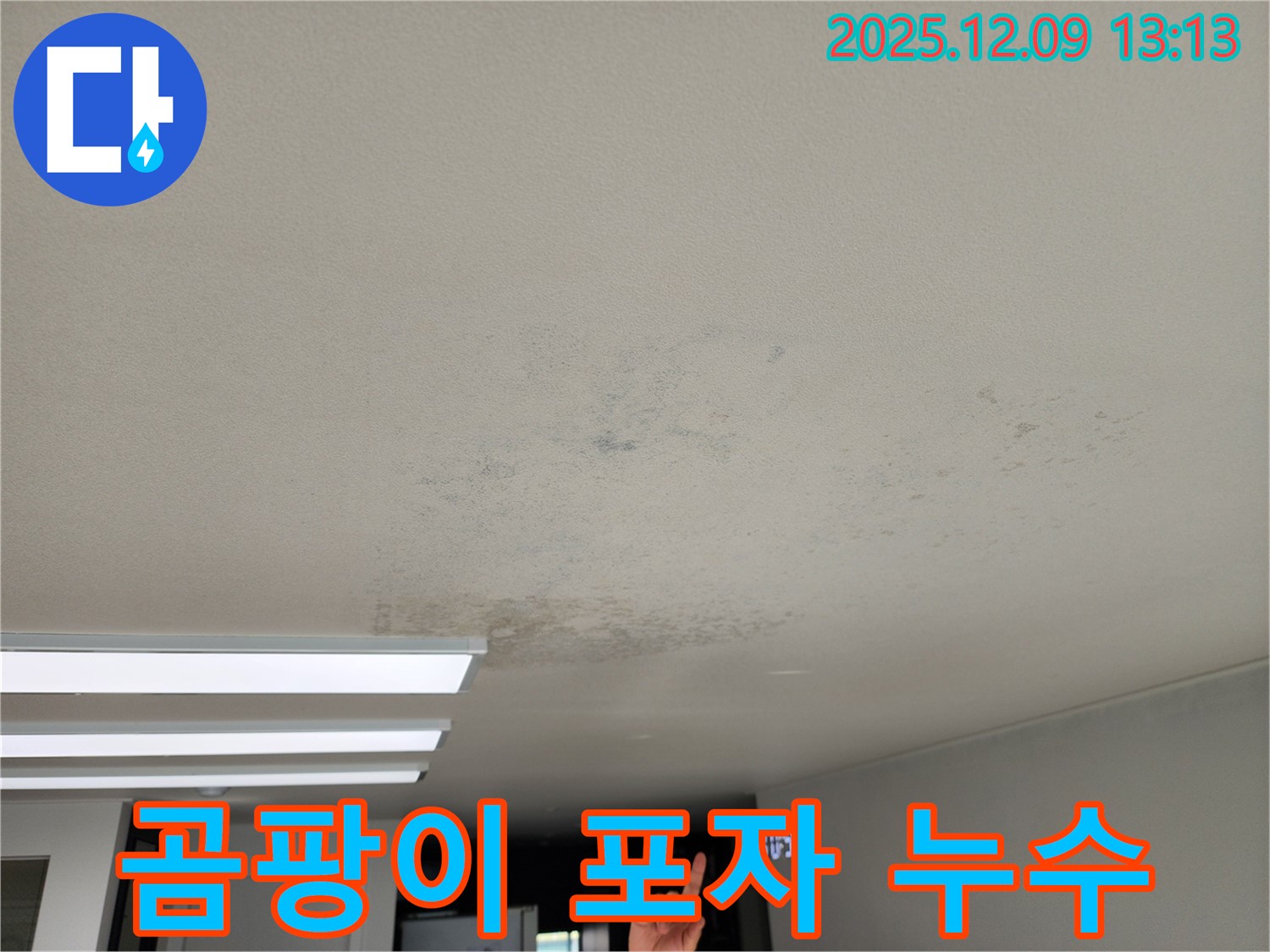 경기도 포천시 영중면 성동리 - 곰팡이 포자 날리는 천장 누수, 알레르기 유발