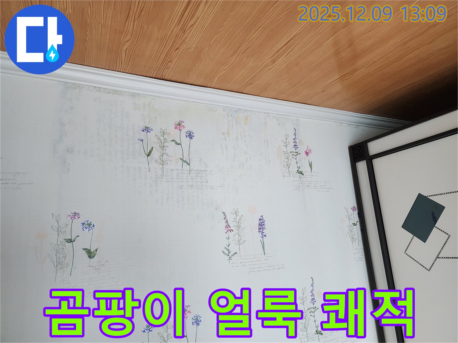 곰팡이 얼룩 벽지 - 숨겨진 누수를 찾아 쾌적한 공간으로 바꿔드립니다.