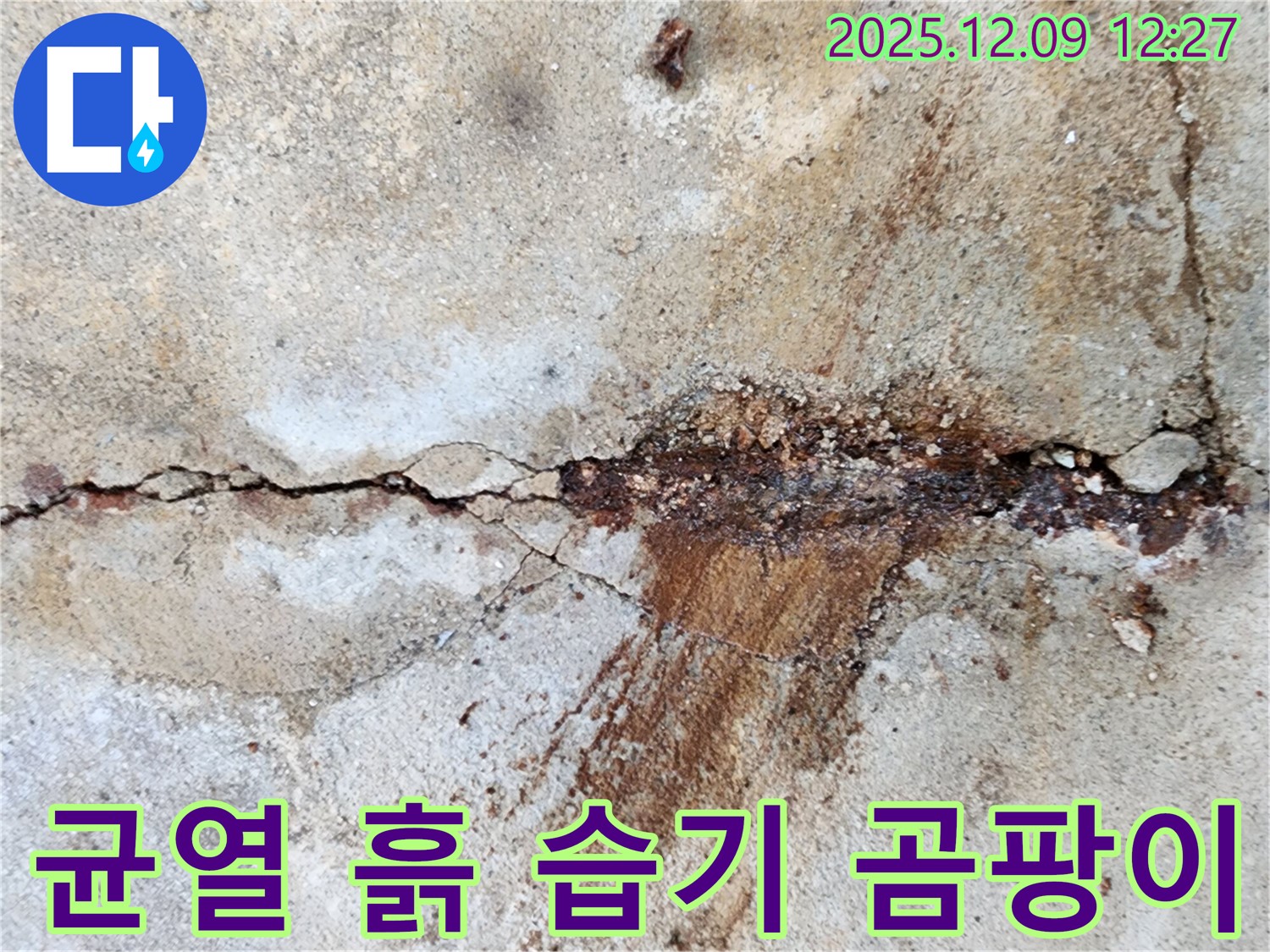 성동리 콘크리트 균열 - 흙과 함께 스며드는 습기는 곰팡이 서식 위험을 높이고 건강까지 위협합니다!