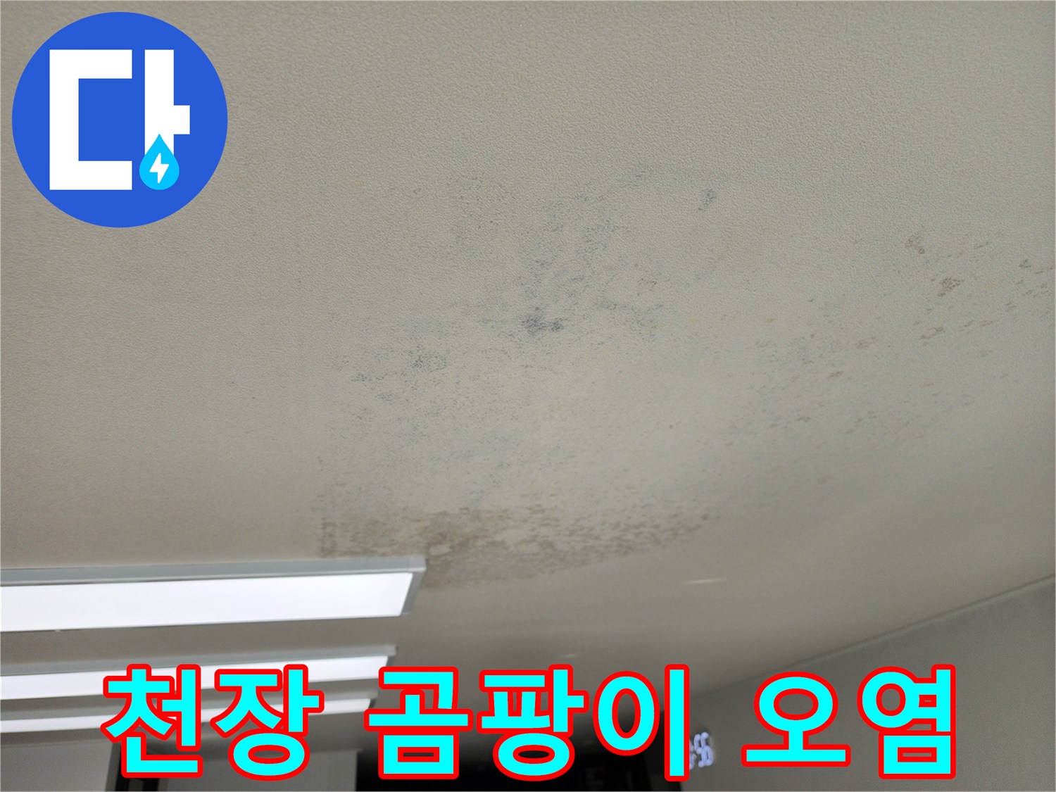 습기로 인해 변색되고 곰팡이가 발생한 천장 벽지