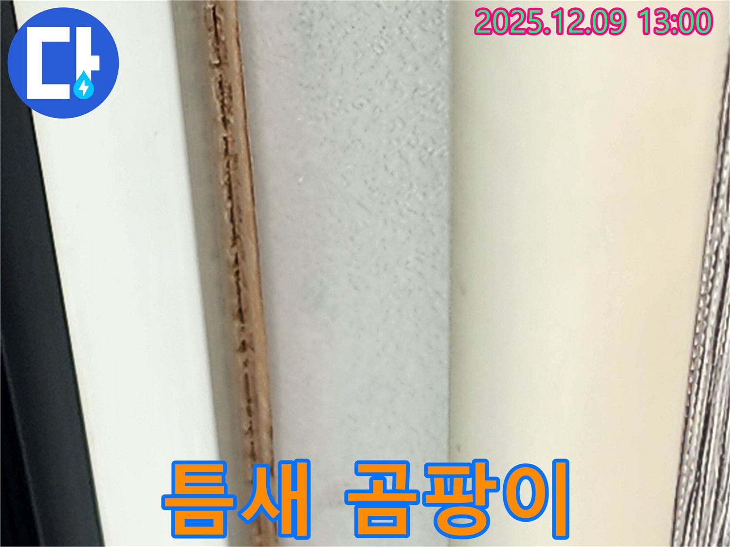 창틀 틈새 곰팡이 - 합리적인 비용으로 해결해 드립니다.