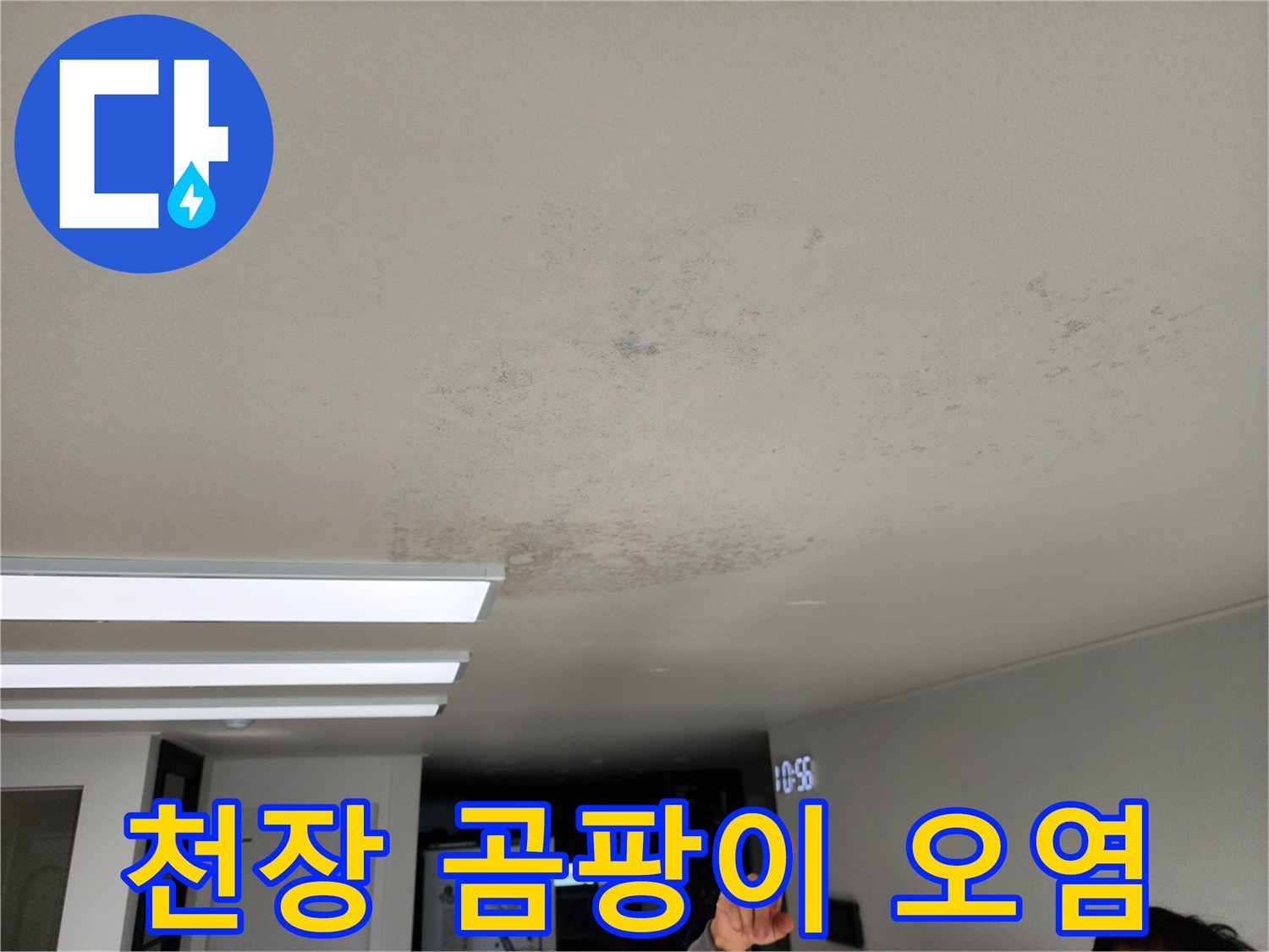 천장 마감재에 발생한 심한 곰팡이와 얼룩 사진