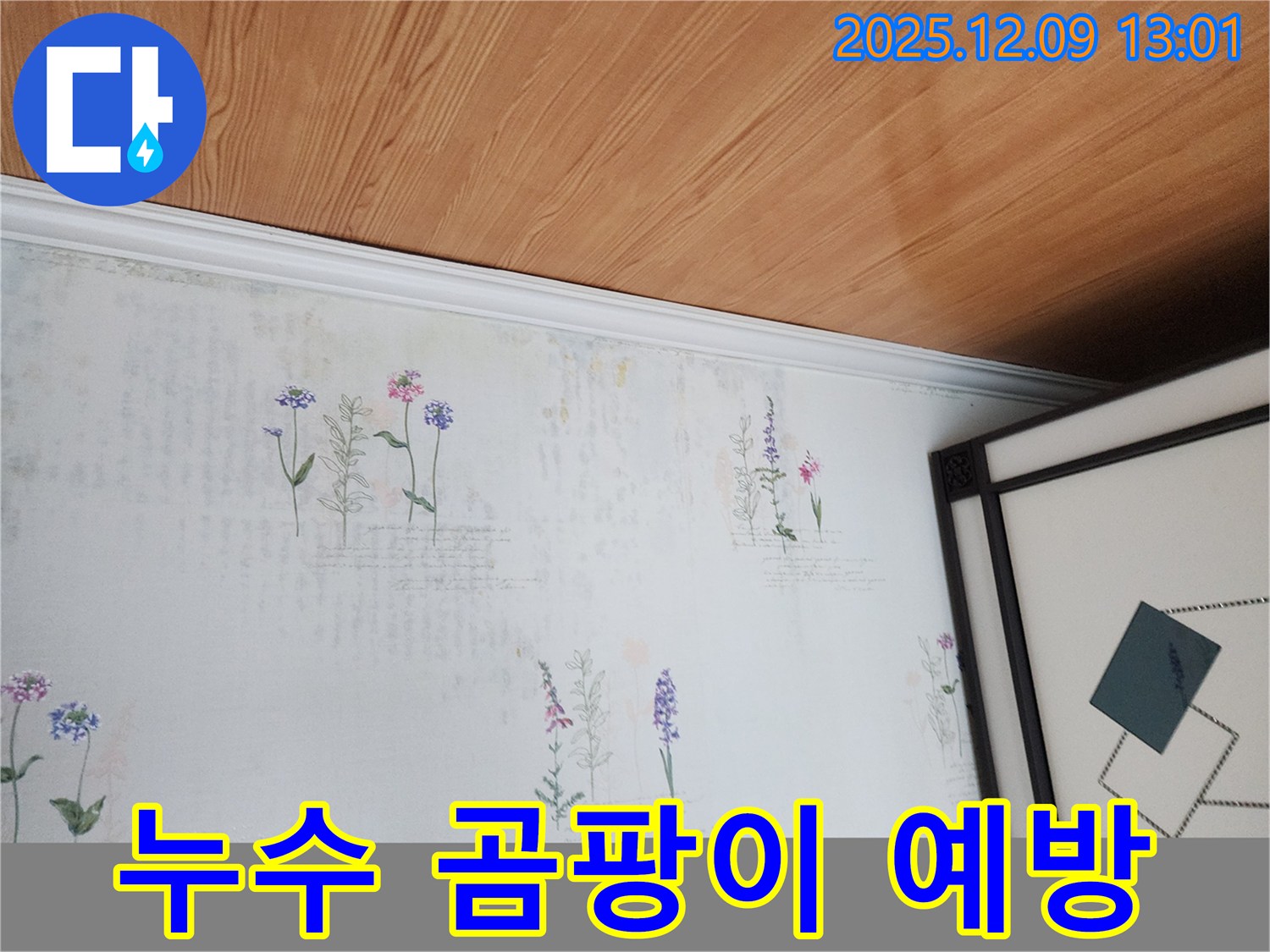 포천 영중면 누수 현장 - 곰팡이 발생 제로 위한 완벽 예방