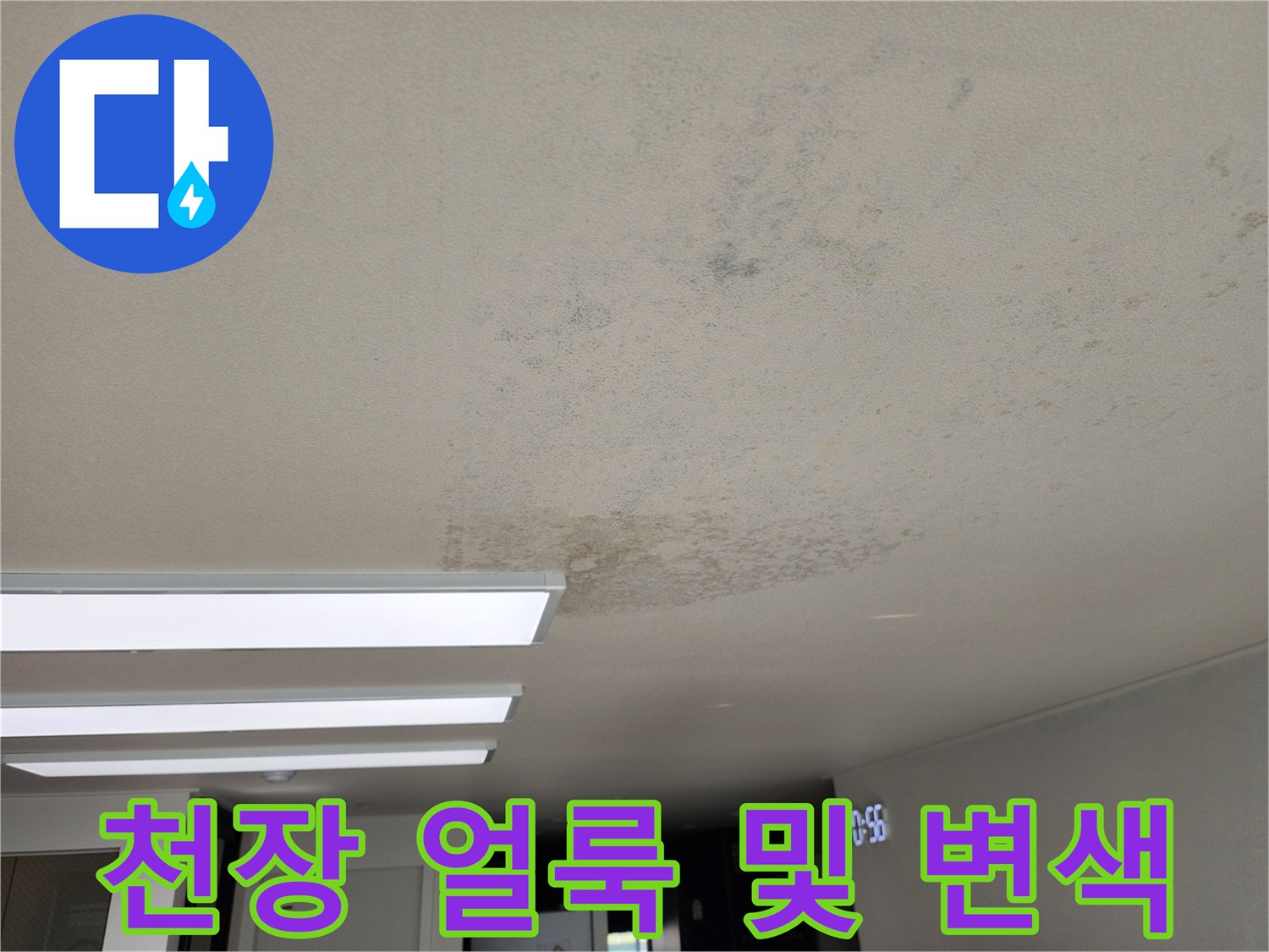 포천 영중면 현장의 천장 벽지 얼룩과 곰팡이 흔적