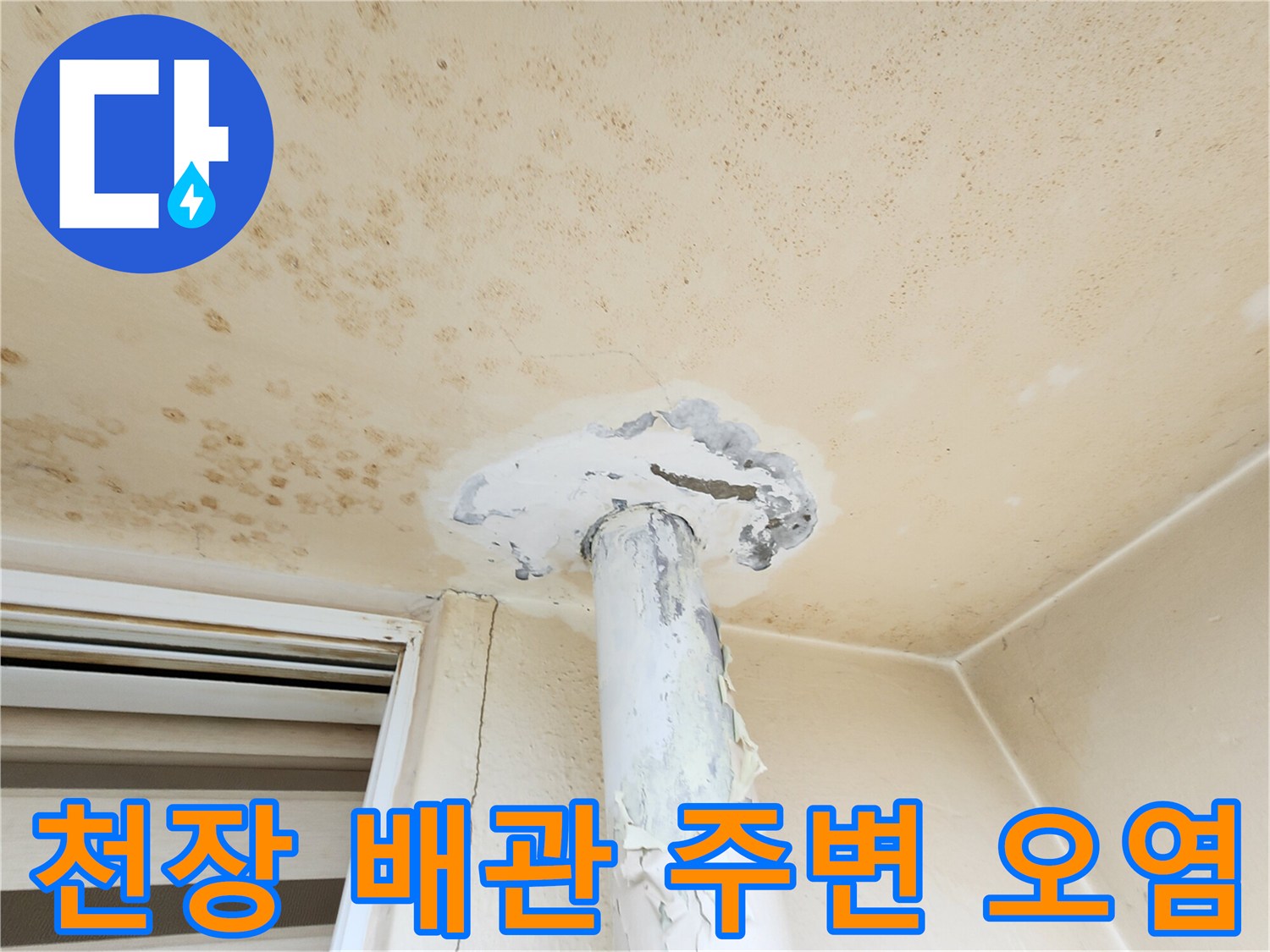 배관-연결부-주변의-심한-물샘-및-곰팡이-발생