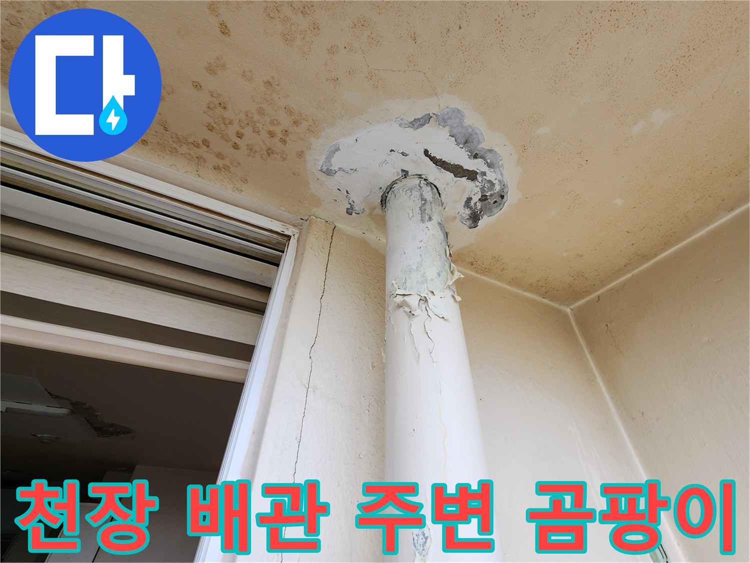 배관-주변의-심각한-곰팡이와-천장-면의-오염-상태