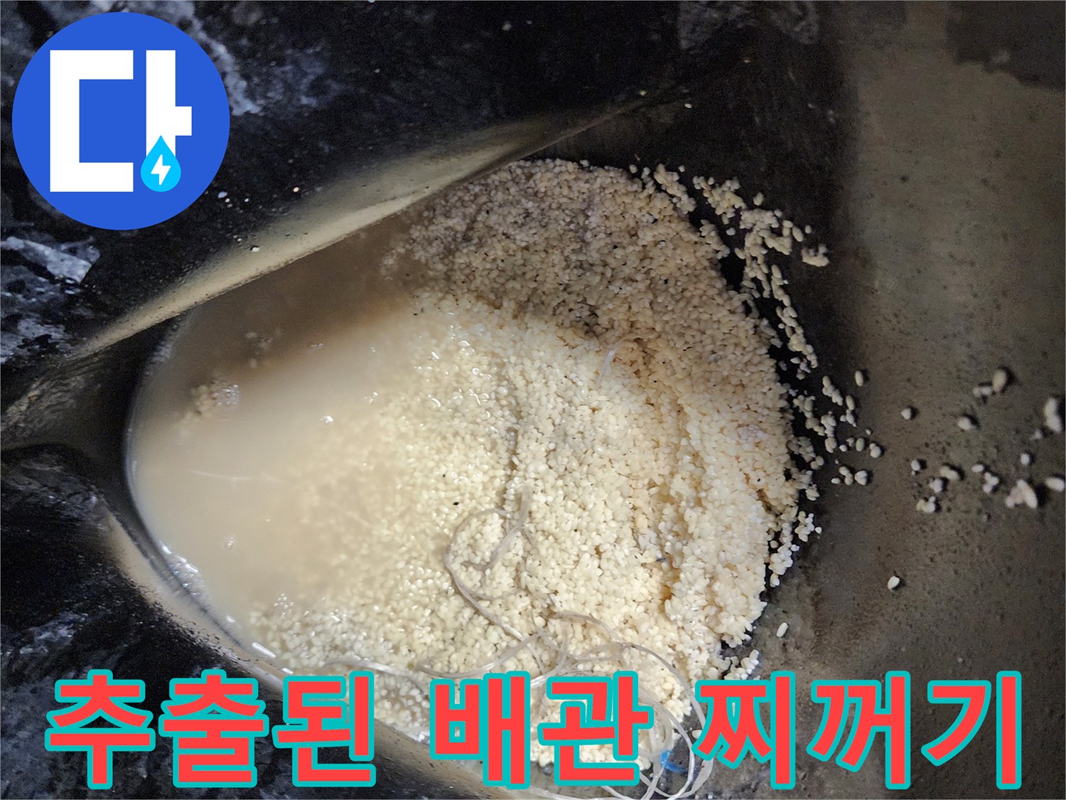 배수관 청소 과정에서 수거된 기름 슬러지 더미
