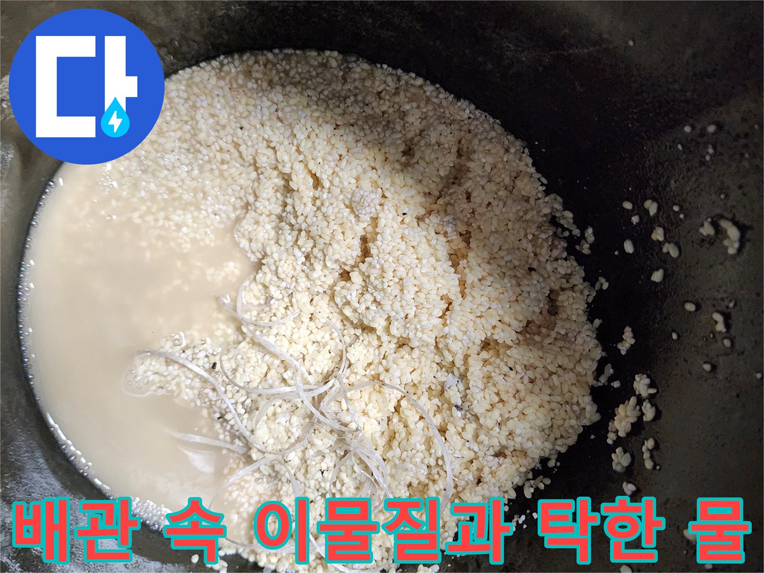 석션 작업으로 뽑아낸 배관 내부의 유지방 슬러지와 탁한 오수