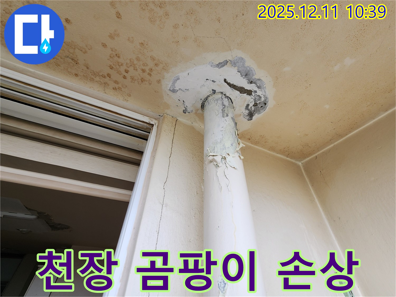 심각한 천장 누수 - 곰팡이 - 석고보드 손상