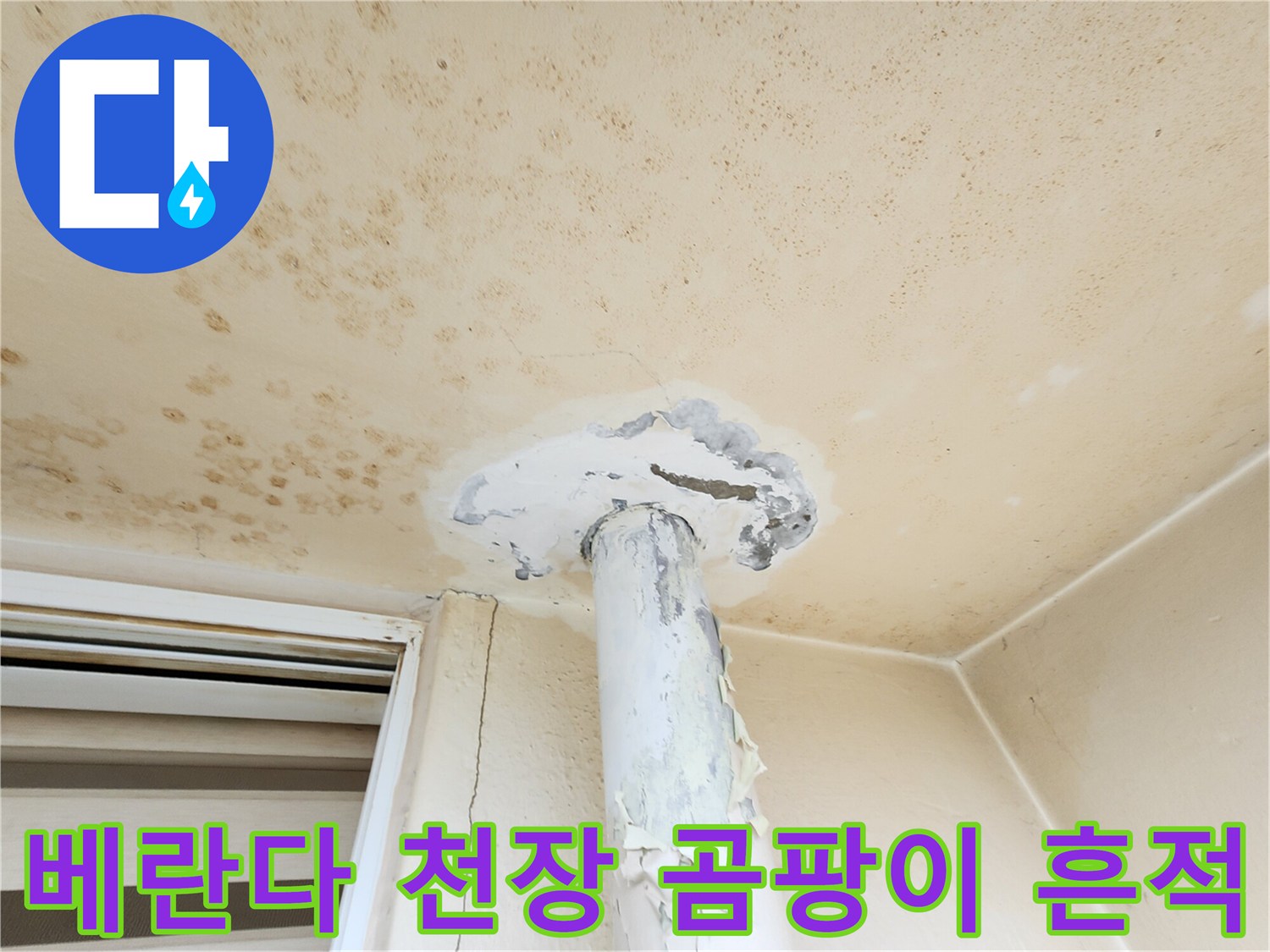 천장-전체에-퍼진-곰팡이와-물샘-자국